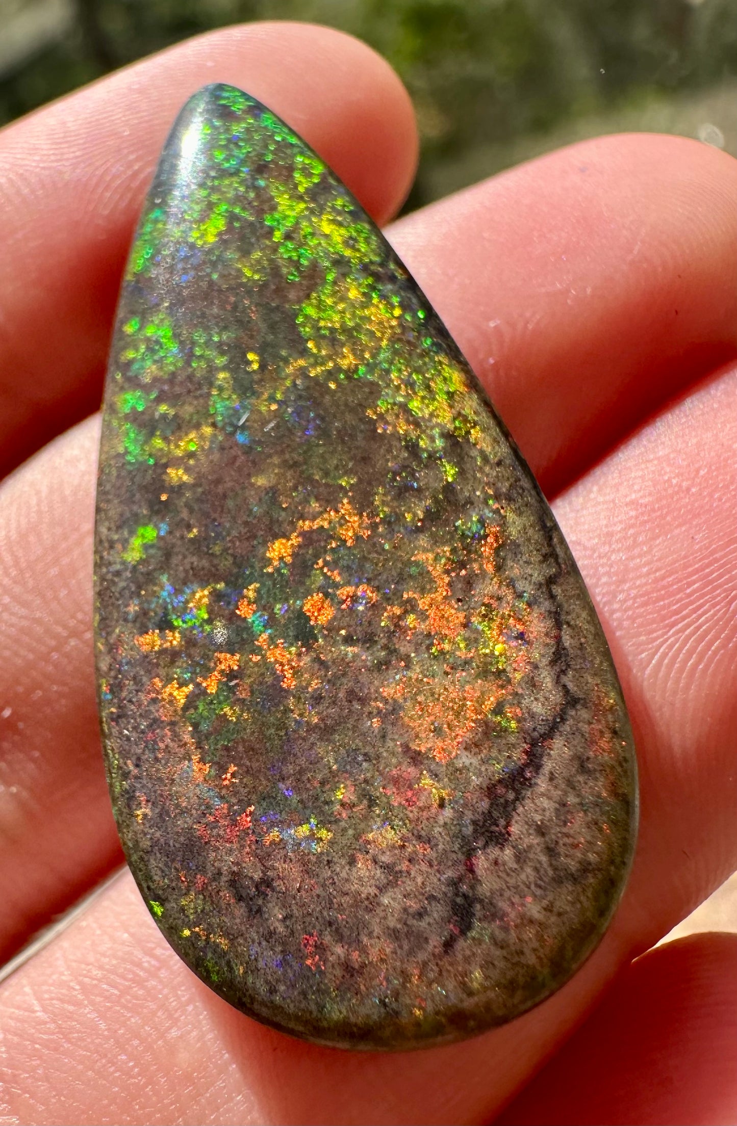 Wunderschöner Andamooka Matrixopal 21,5 Karat