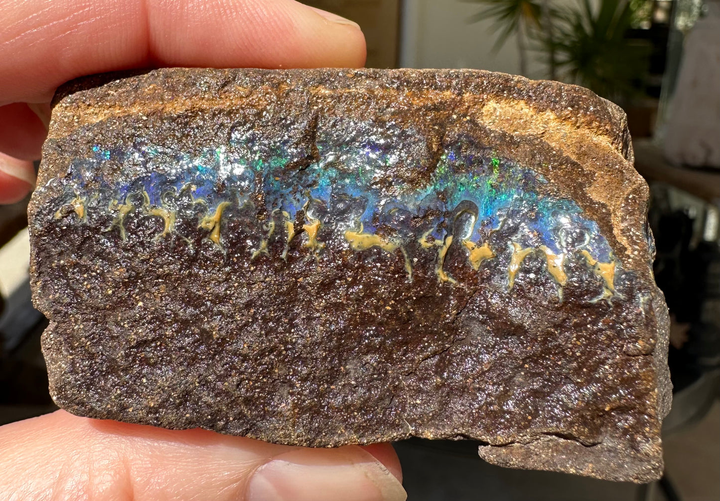 Natural Australian Boulder Opal Specimen