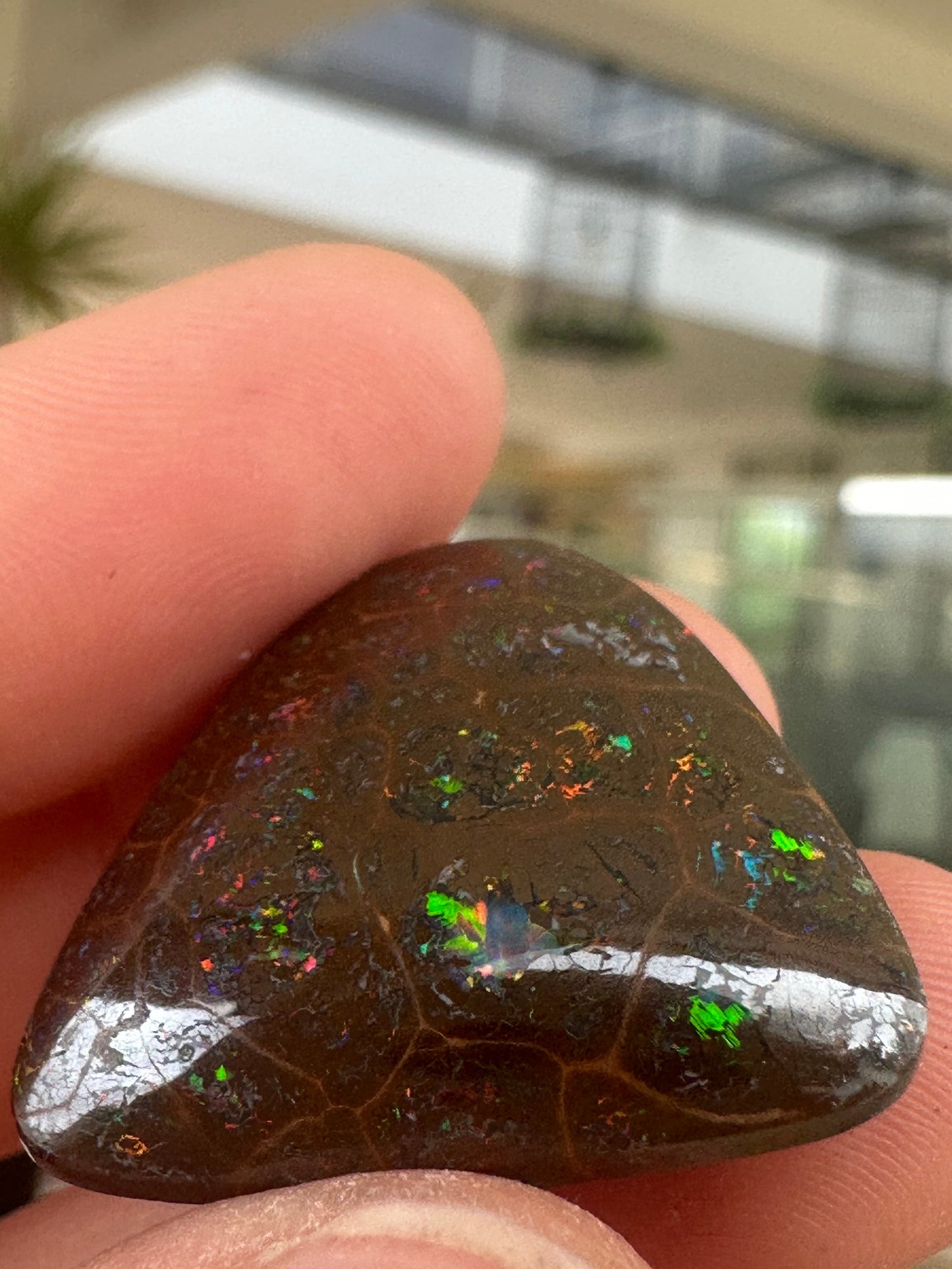 Australian Queensland Boulder Opal 31 cts