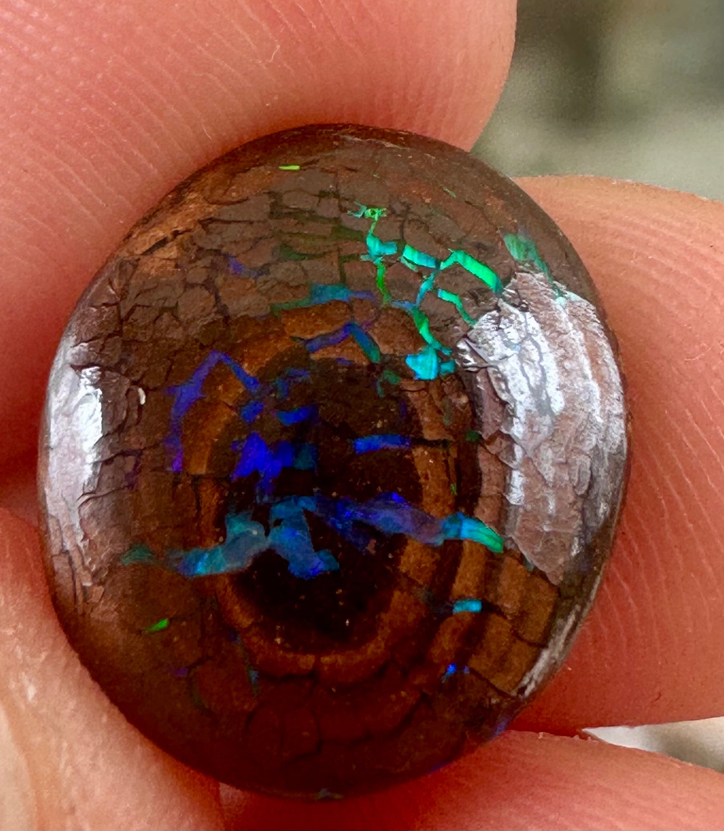 Australian Queensland Boulder Opal 6.75 cts