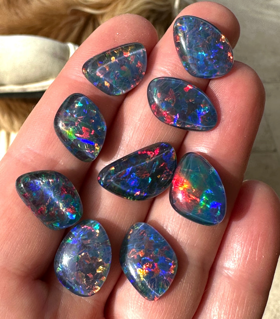 Australian Freeform Gem Grade Opal Triplets - Opal Essence Wholesalers