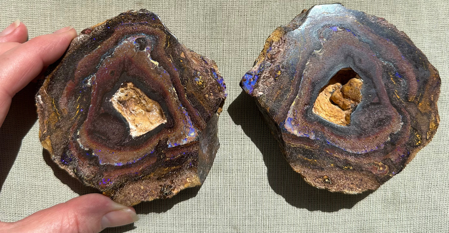 Giant Boulder Opal Yowah Nut Matching Pair