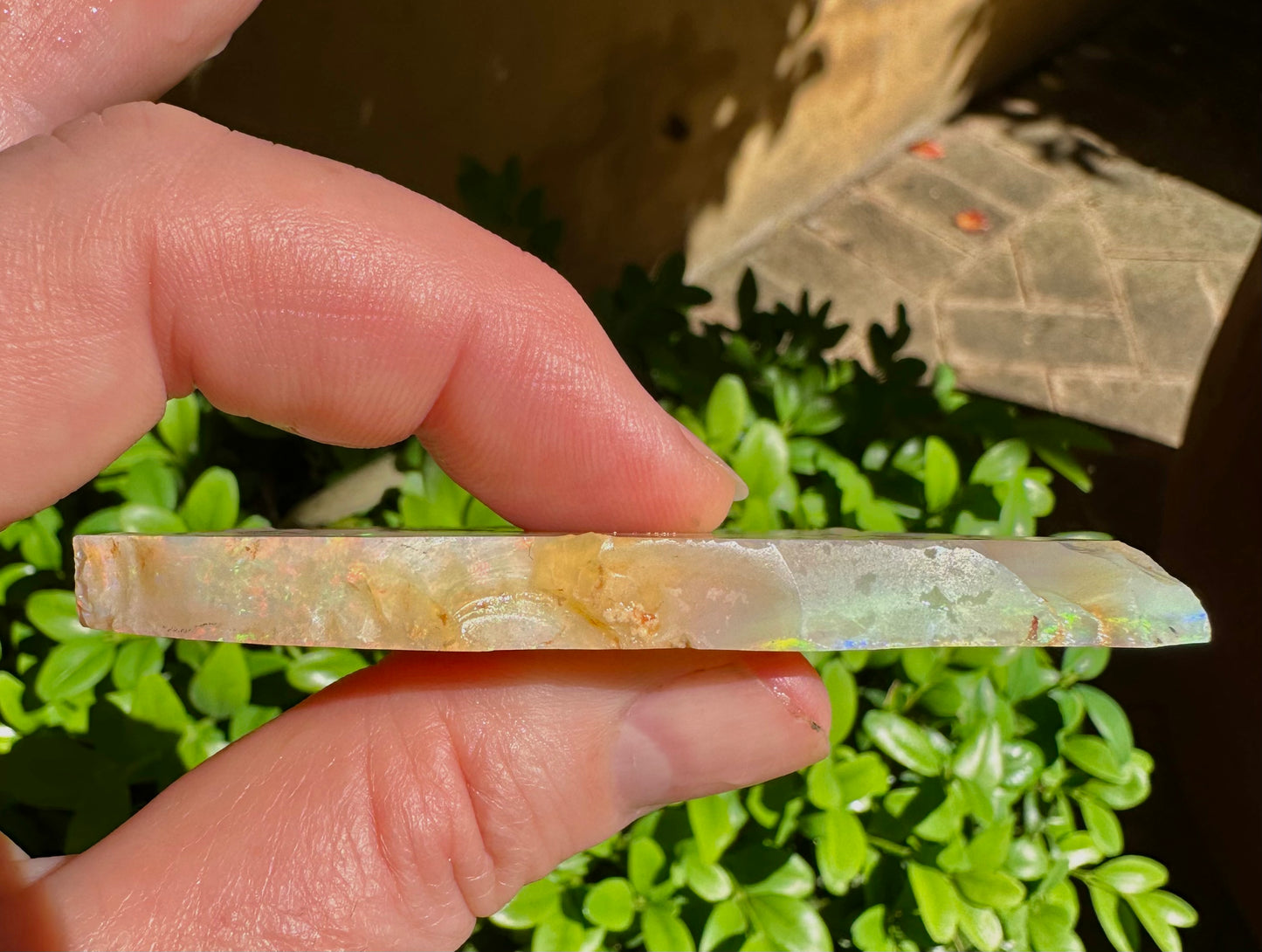 Huge Lambina Rough Opal