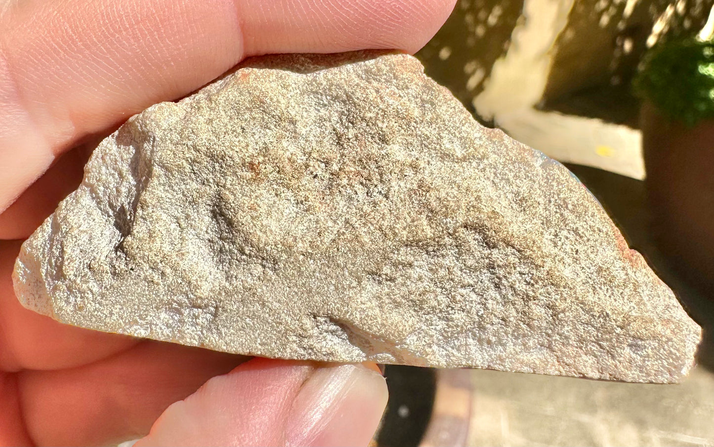 Brilliant rough opal specimen from Mintabie