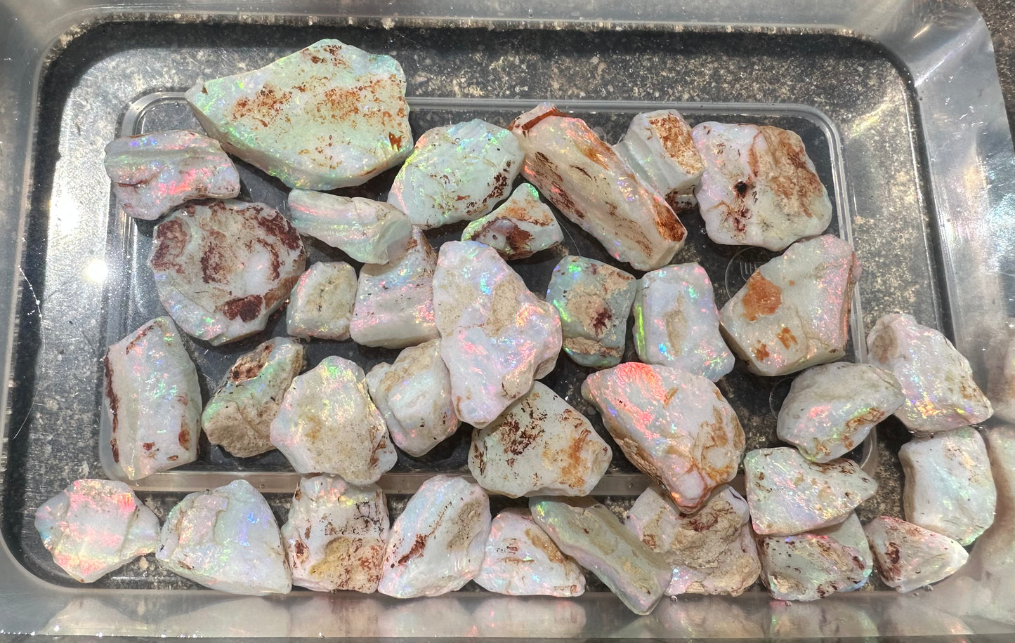 Brilliant Australian Uncut Rough Opal Parcel