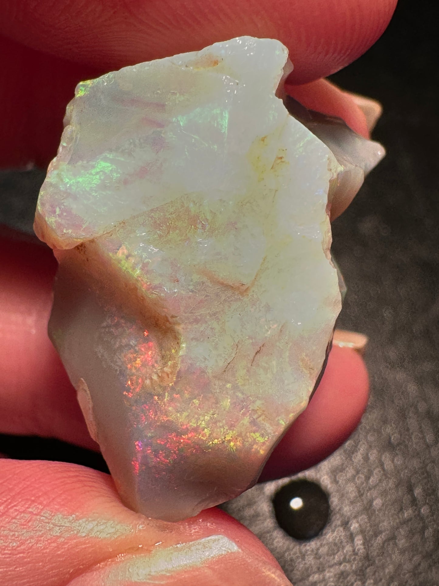 Opal Essence Australian Lambina Rough Grey Base opal multicolored Unset