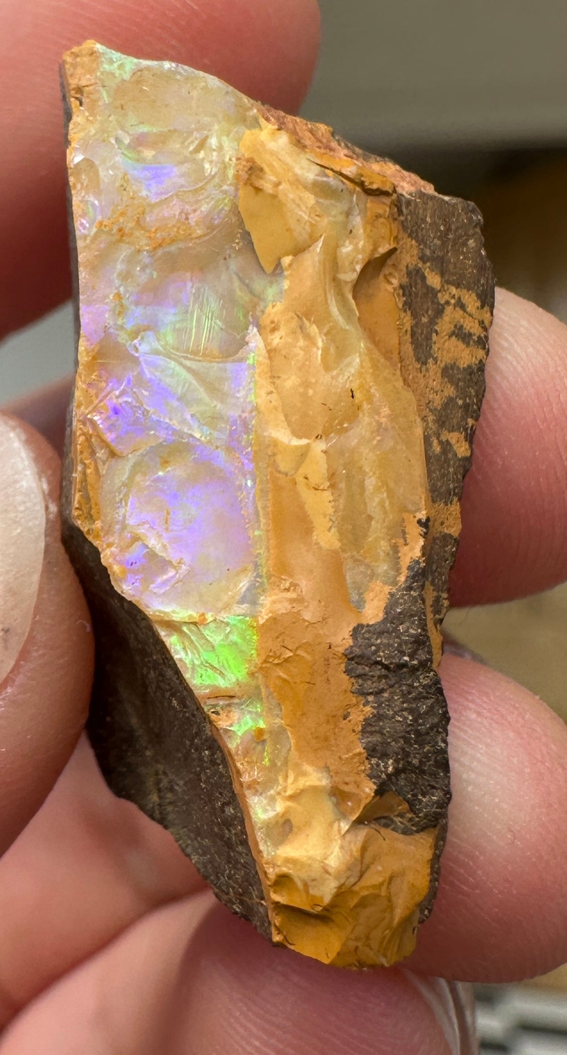 Australian Queensland Boulder opal rough large ring or pendant 42.87 cts