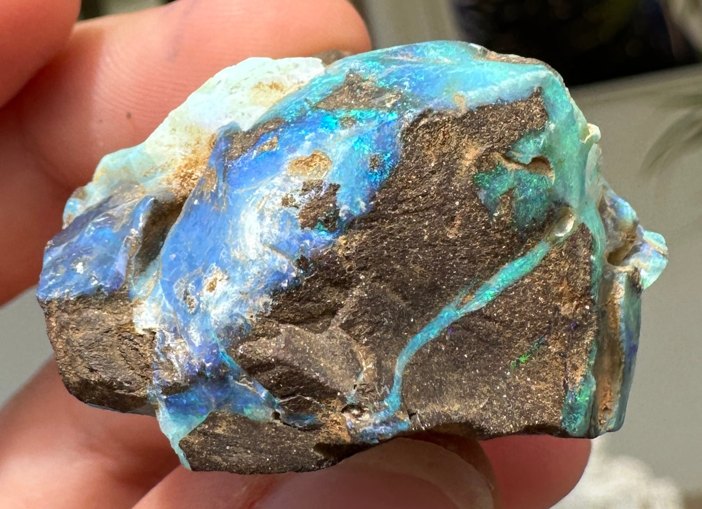 Australian Queensland Boulder opal rough large ring or pendant 162.02 cts