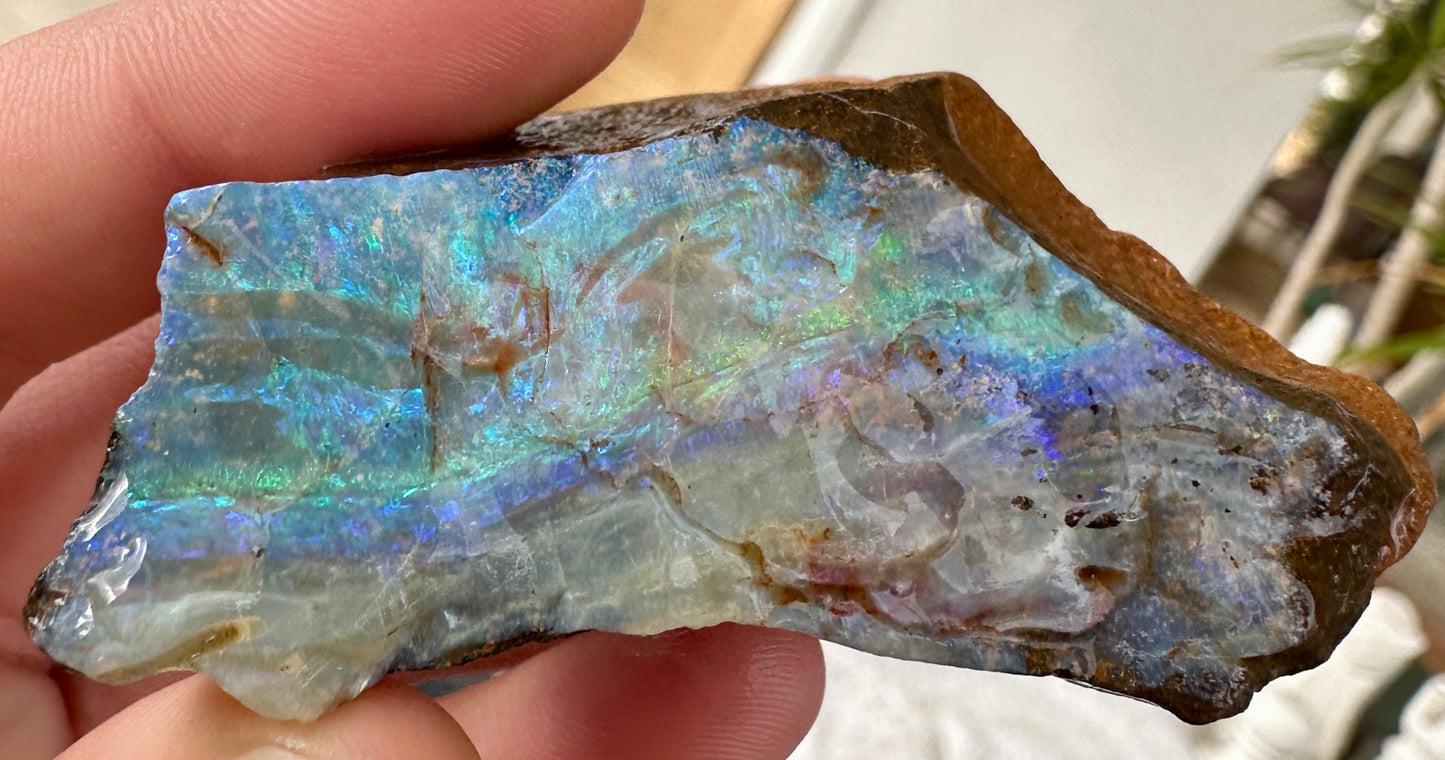 Australian Queensland Boulder opal rough large ring or pendant 224.815cts