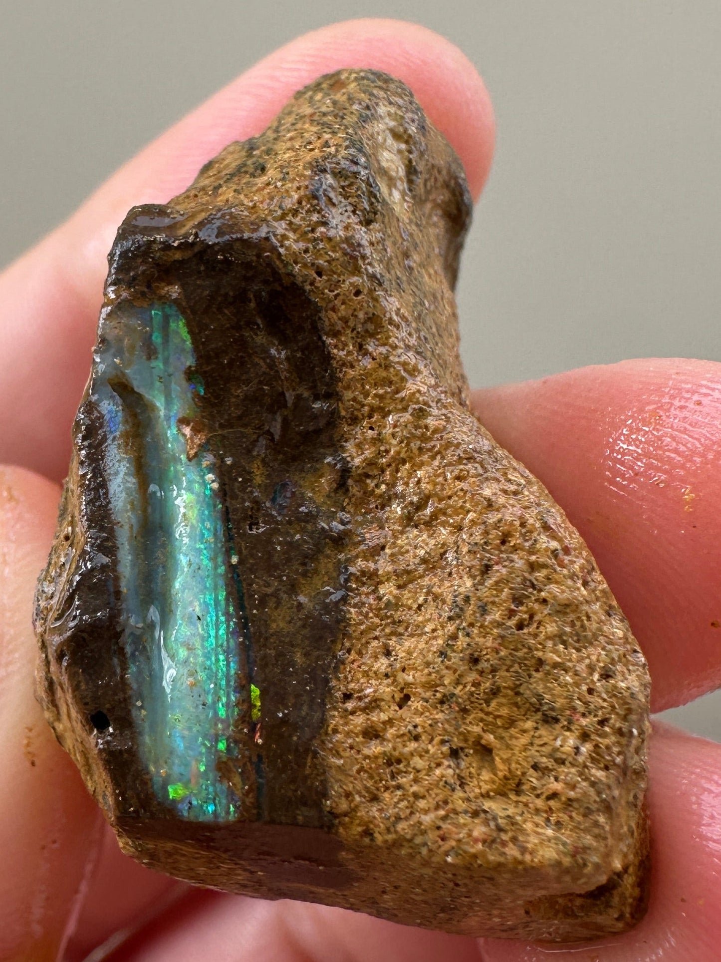 Australian Queensland Boulder opal rough large ring or pendant 92.14cts