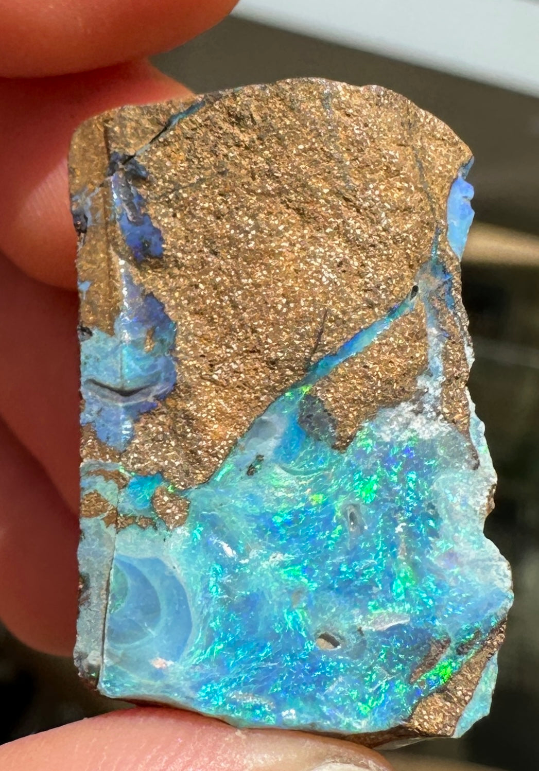 Australian Queensland Boulder opal rough large ring or pendant 42.925 cts