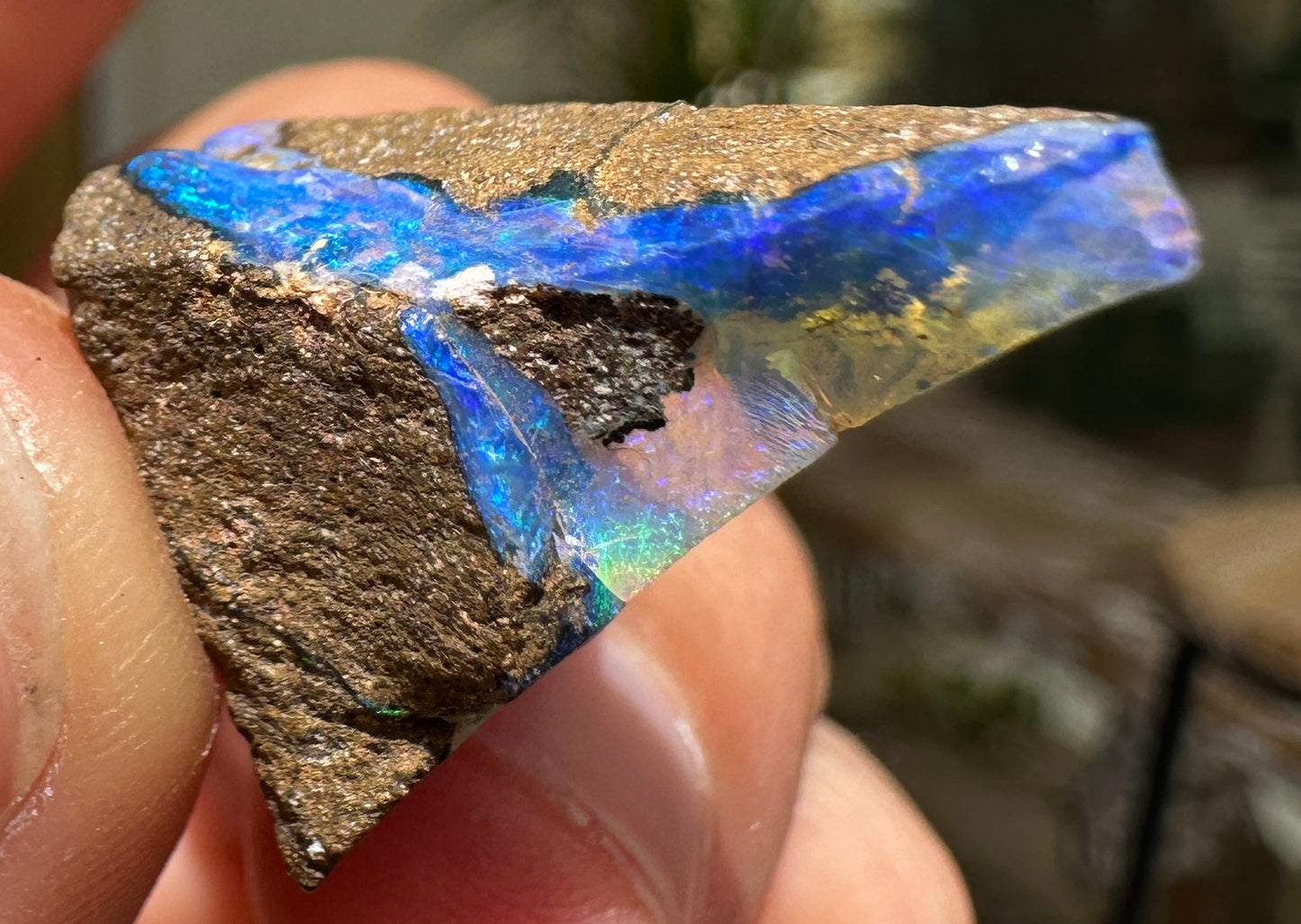 Australian Queensland Boulder opal rough large ring or pendant 10.065 cts