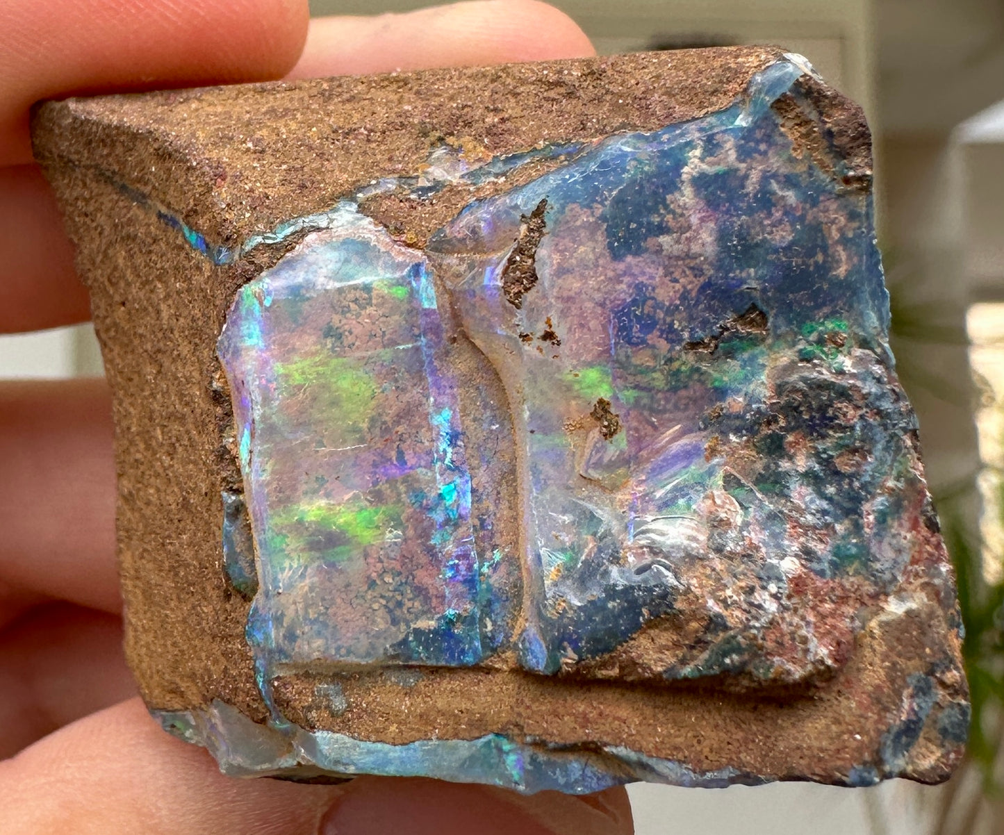 Australian Queensland Boulder opal rough large ring or pendant 166.57 cts