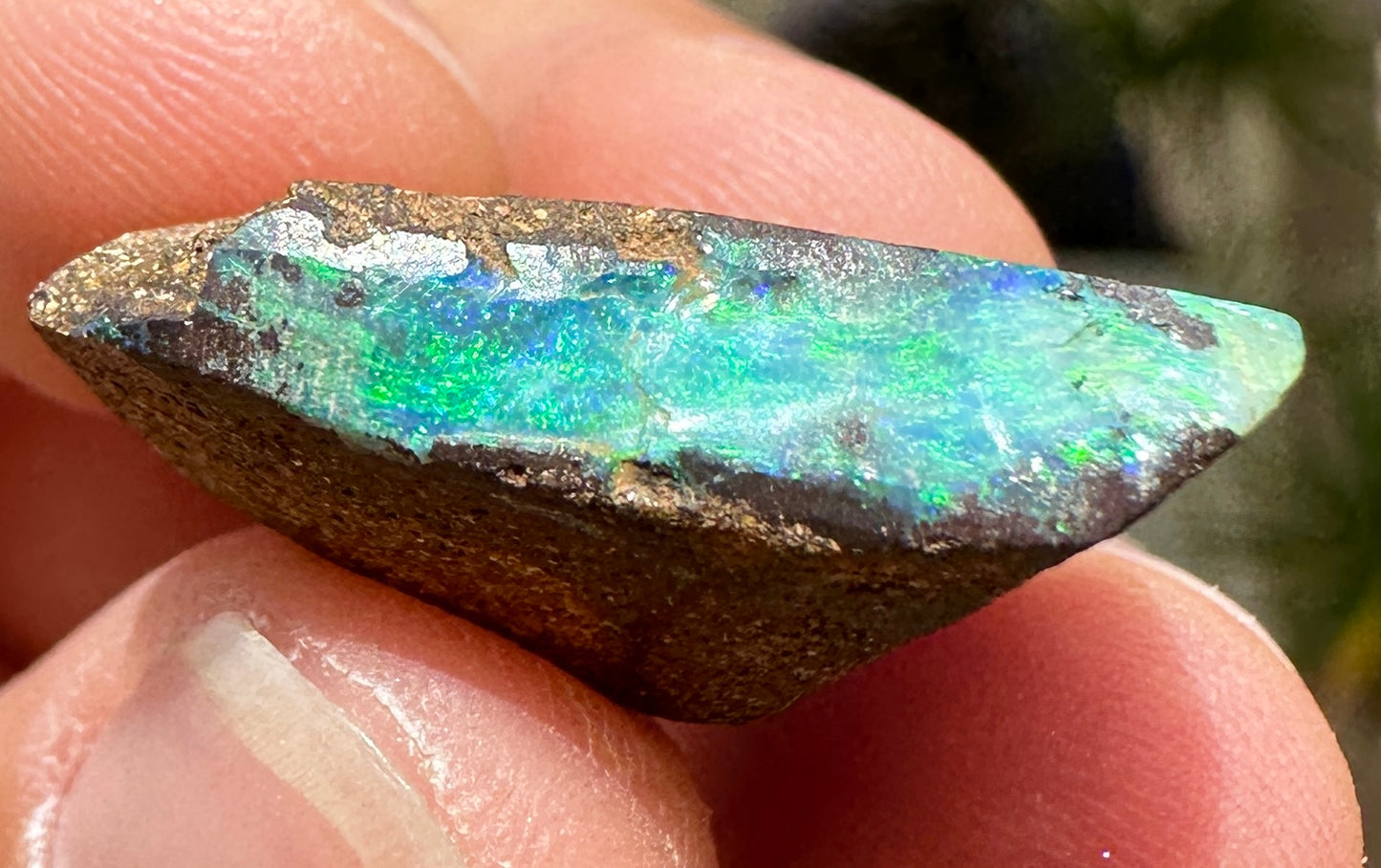 Australian Queensland Boulder opal rough large ring or pendant 15.95 cts