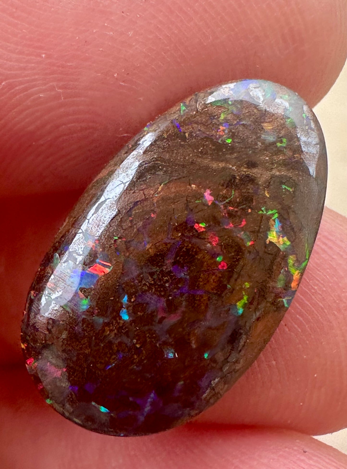 Australian Queensland Boulder Unset pendant or ring opal 8 ct