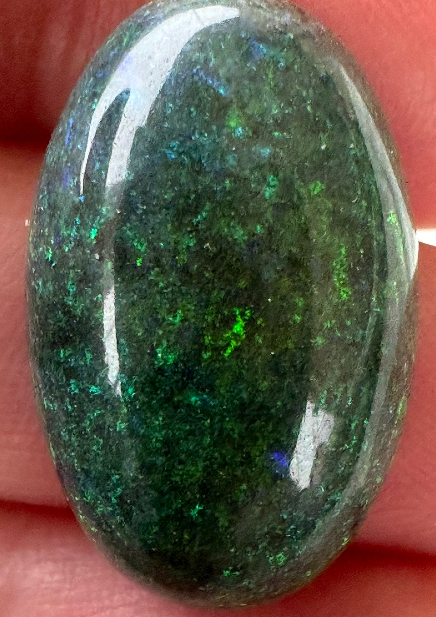 Product No.181 - Andamooka matrix opal - Opal Essence Wholesalers