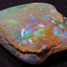 Gem Crystal opal Shell 33.75 cts