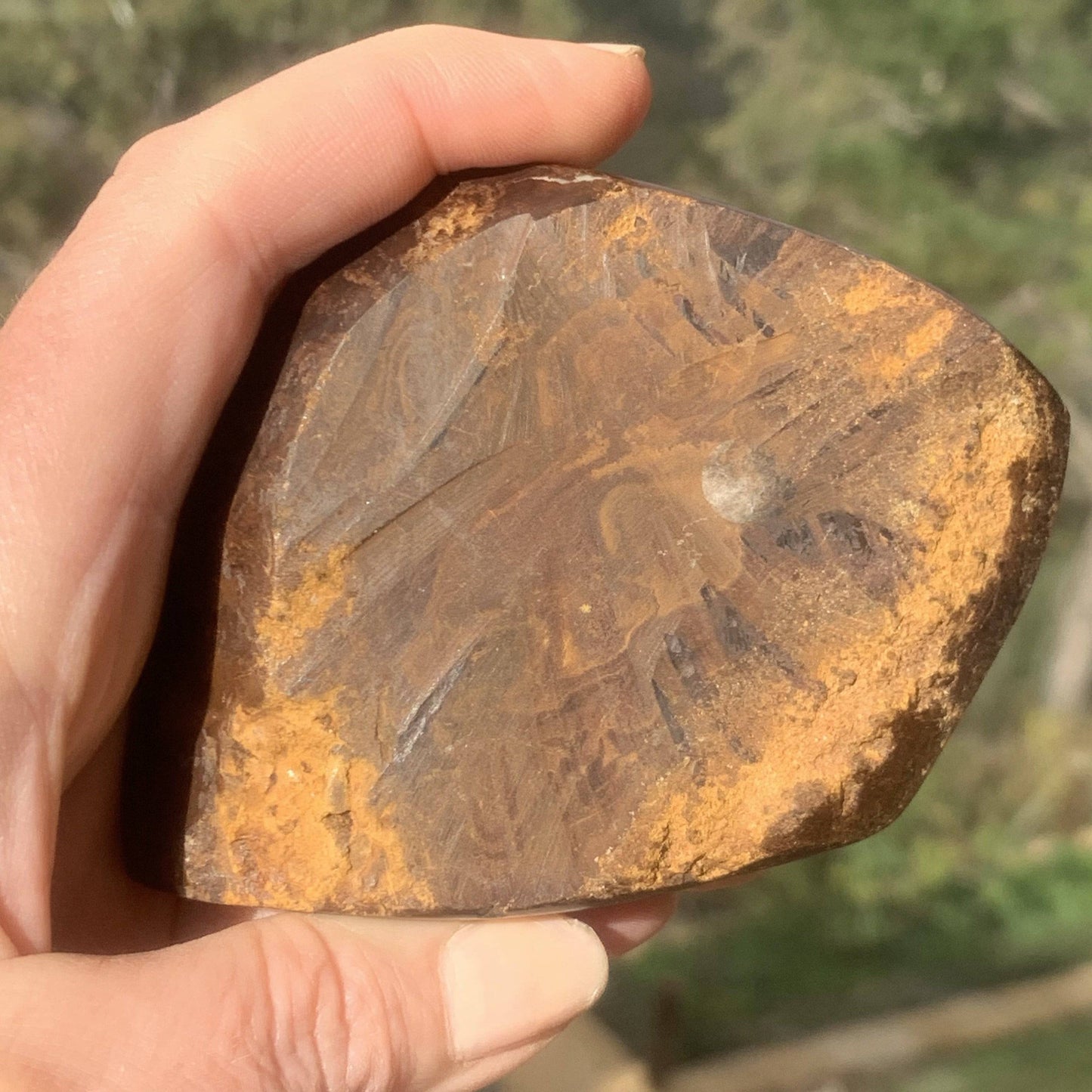 Queensland Boulder Opal specimen - Opal Essence Wholesalers