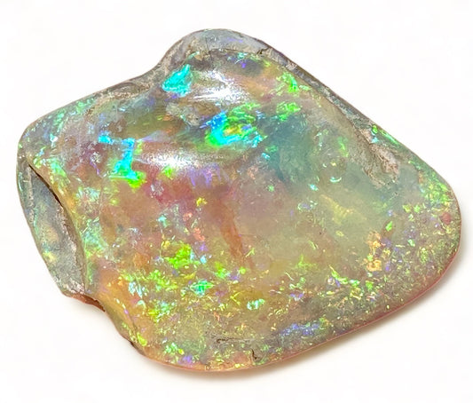 Coober Pedy gem crystal opalized seashell – rare Australian fossil specimen with play-of-colour opal
