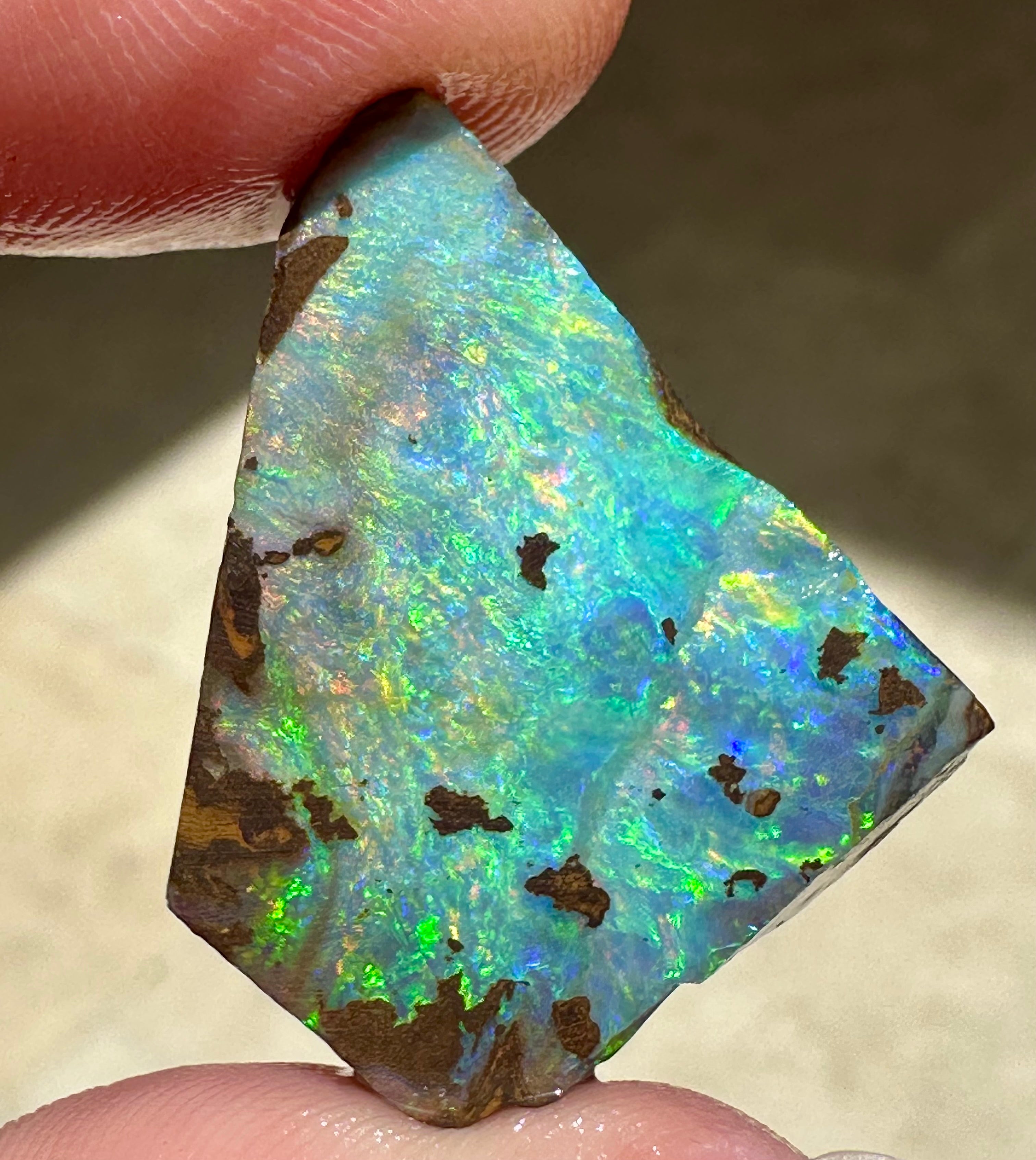 Queensland Boulder Opal 55.5cts - Vibrant Multi-Colour Pre-Shaped ...