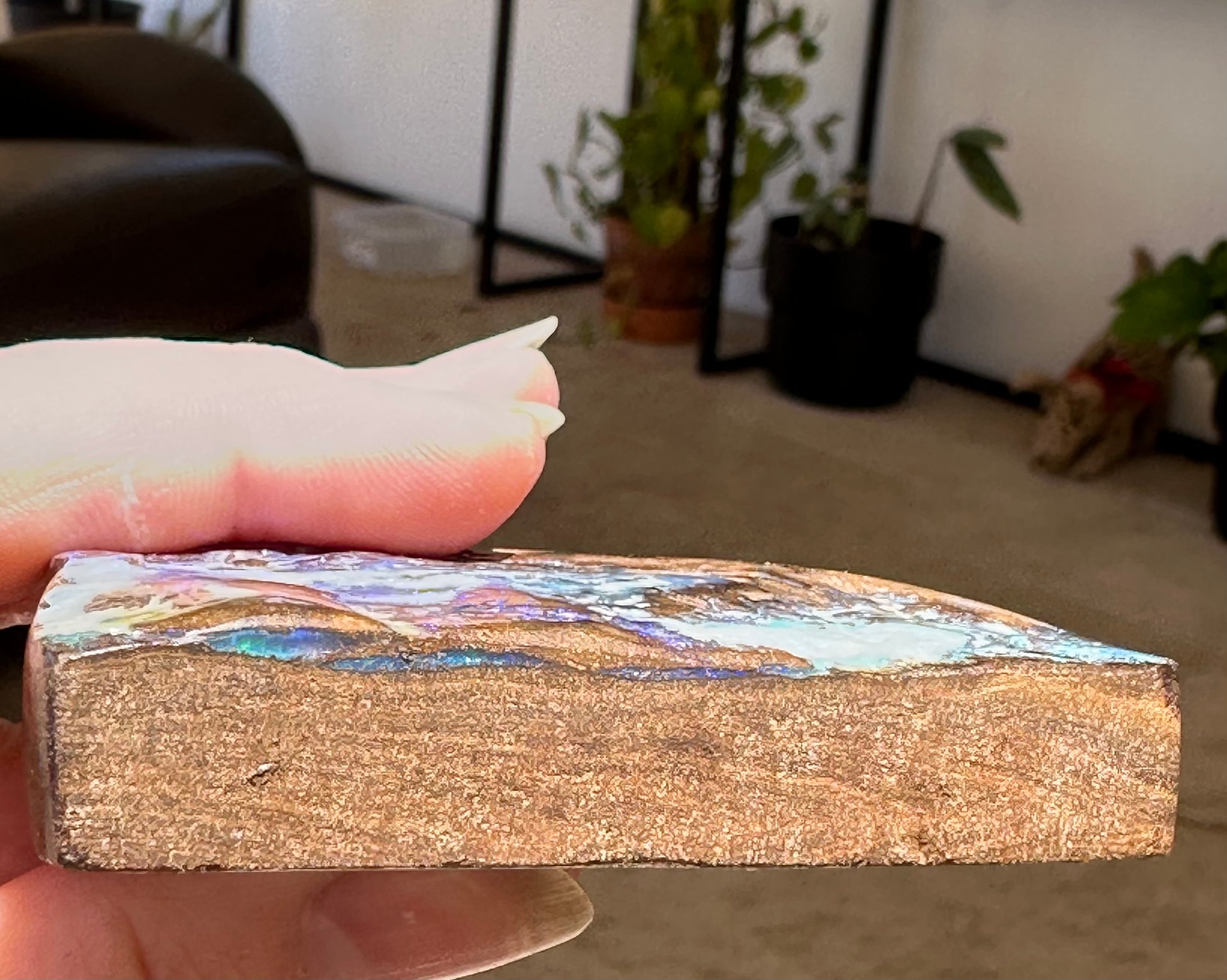 Australian Queensland Boulder Opal