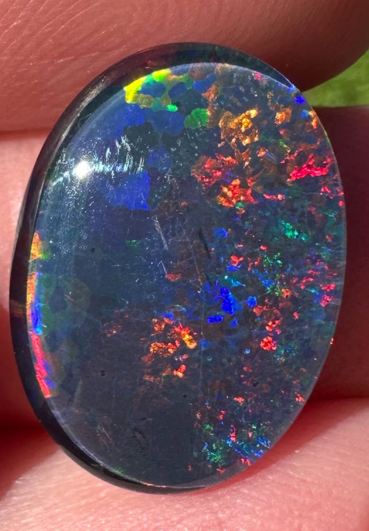 Australian Gem Opal Triplet 18x13 mm