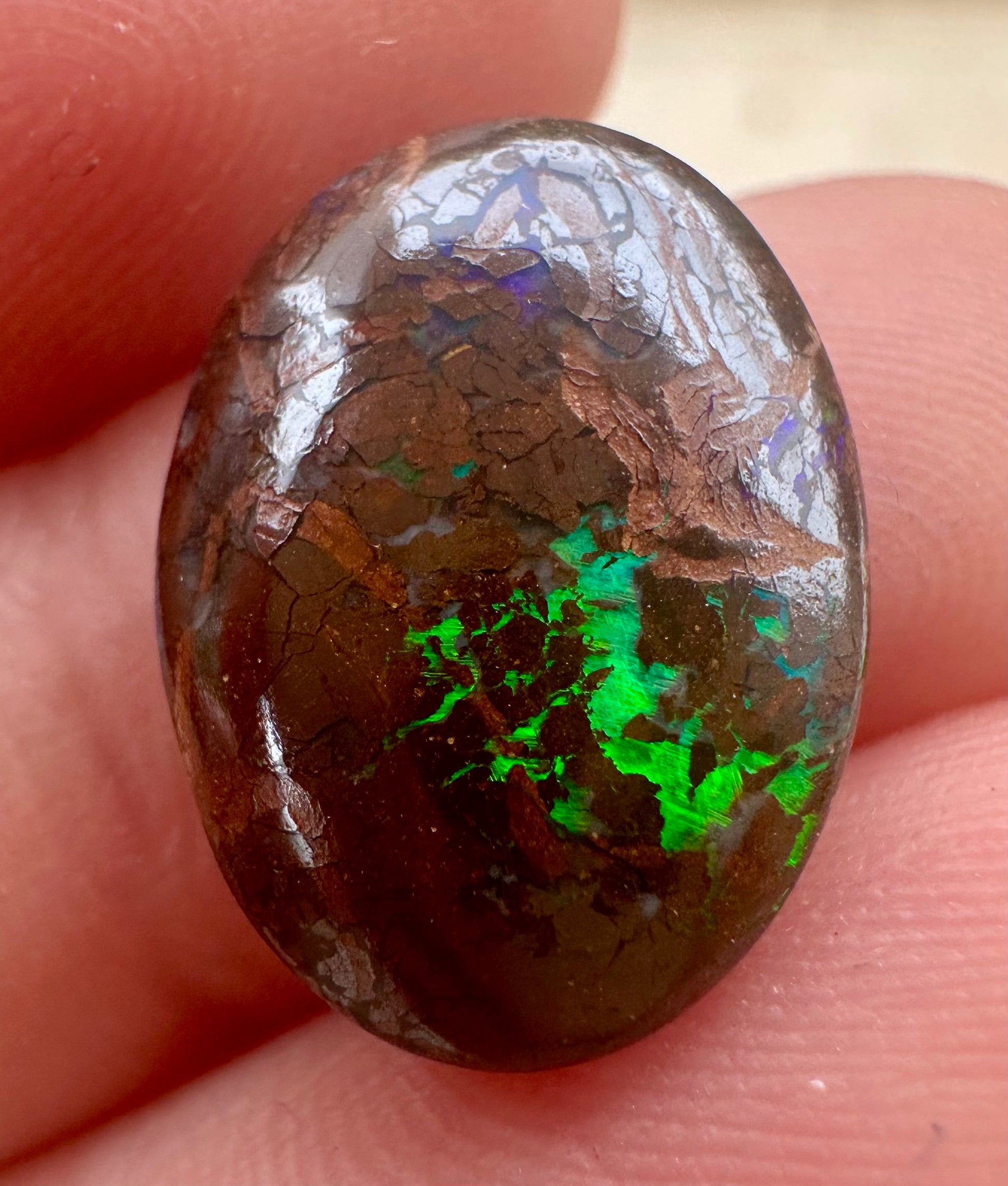 Australian Queensland Boulder Opal