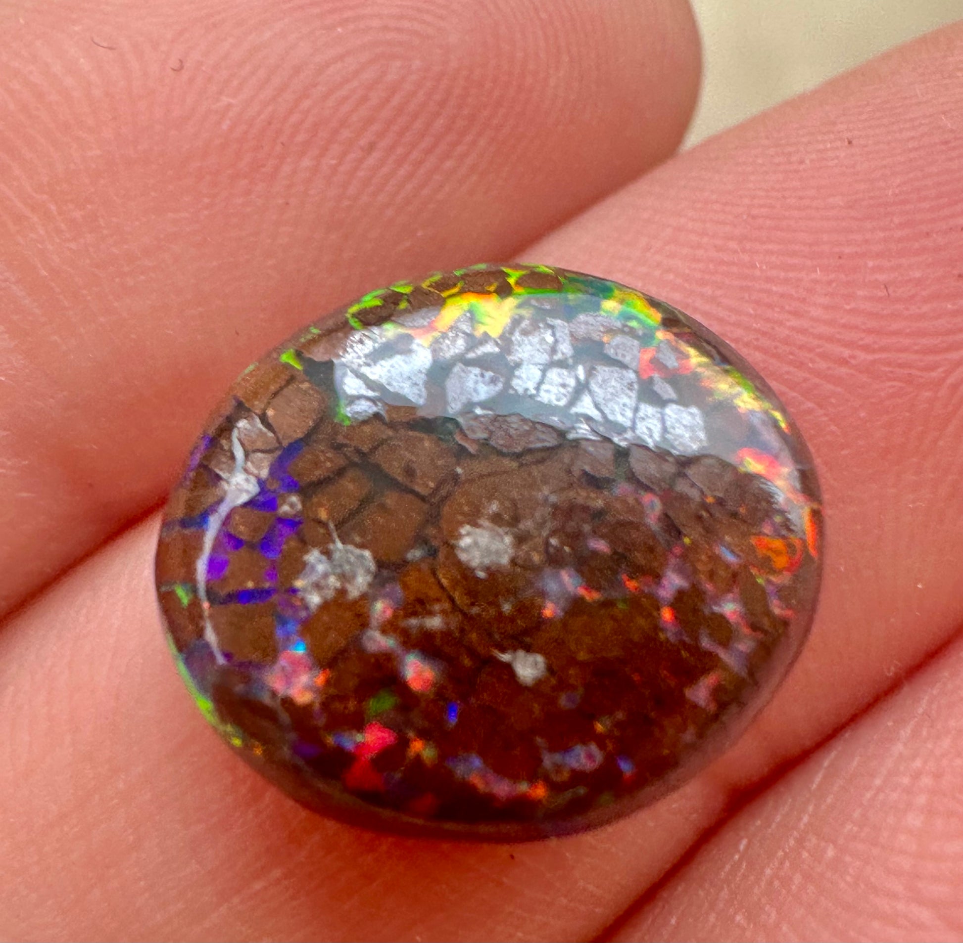 Australian Queensland Boulder Opal 6.75 cts