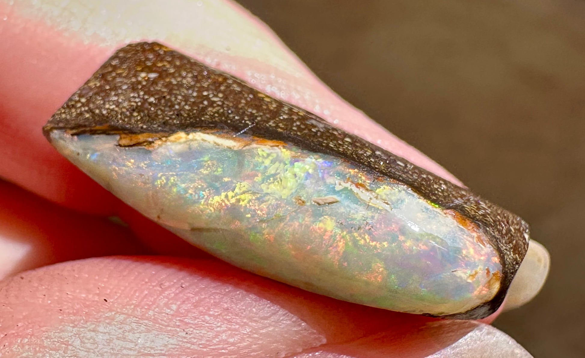 Australian Queensland Boulder Opal