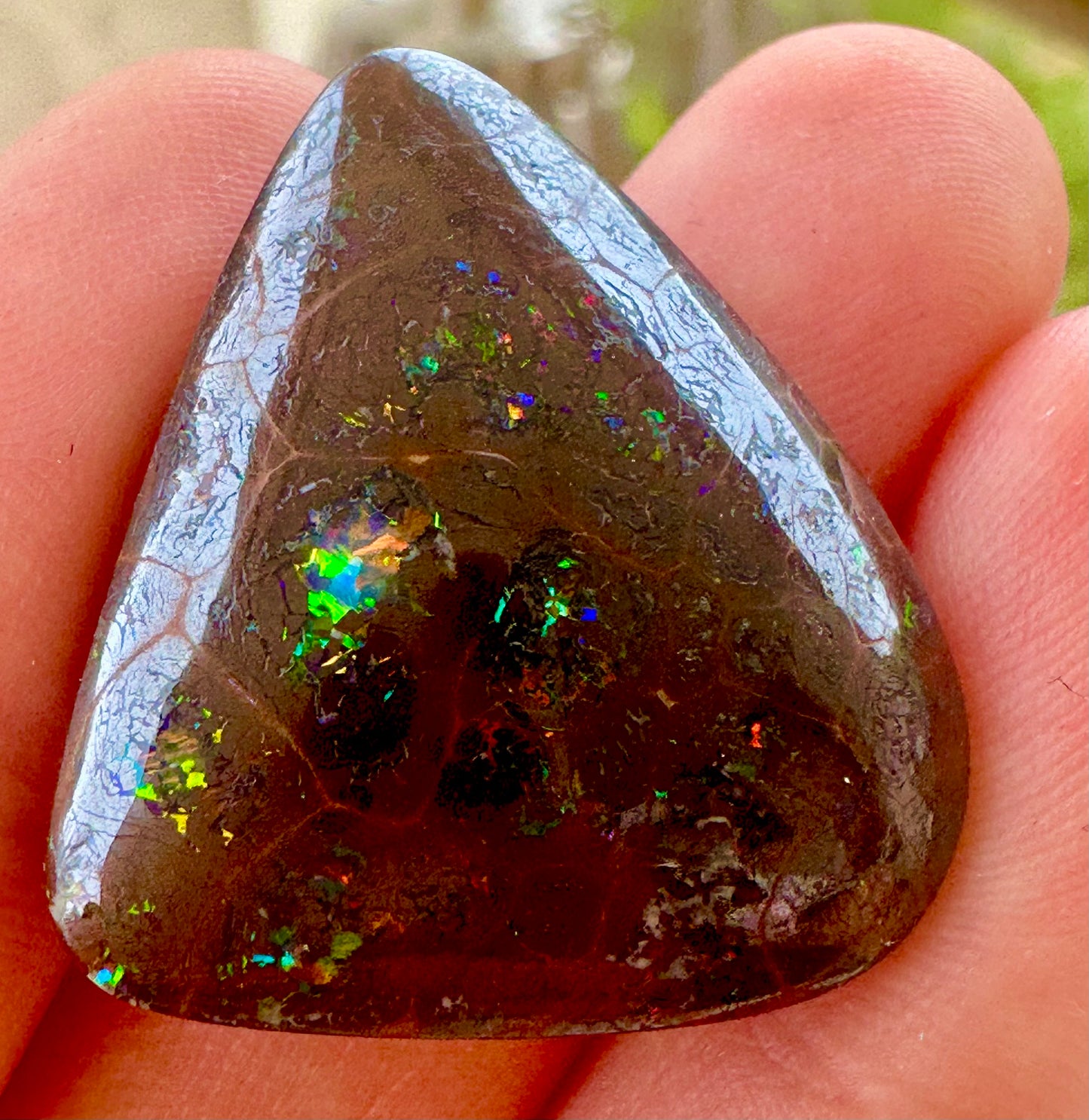 Australian Queensland Boulder Opal 31 cts