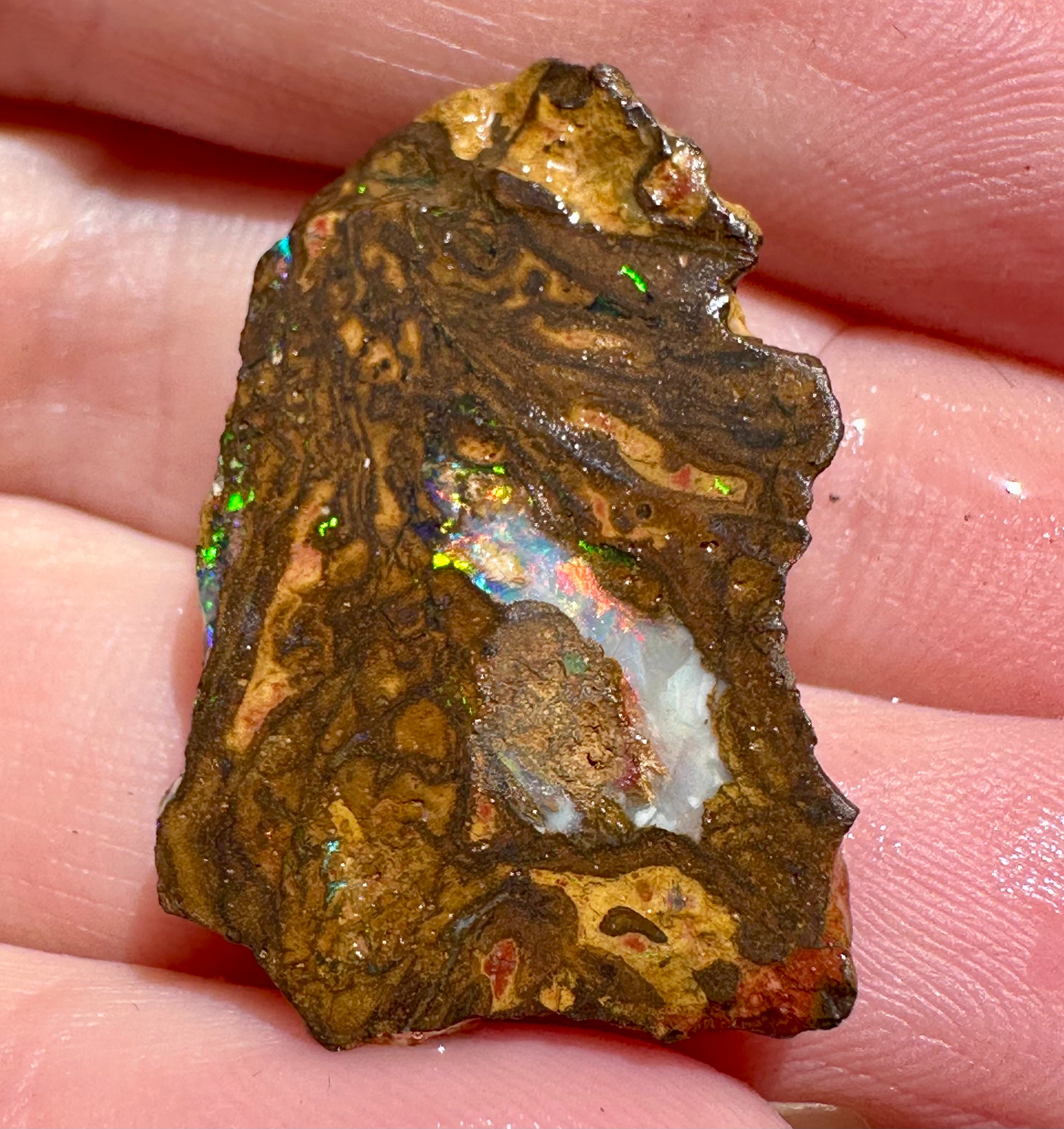 Queensland Boulder Opal 21.5cts - Multi-Colour Pre-Shaped Opal | Opal ...