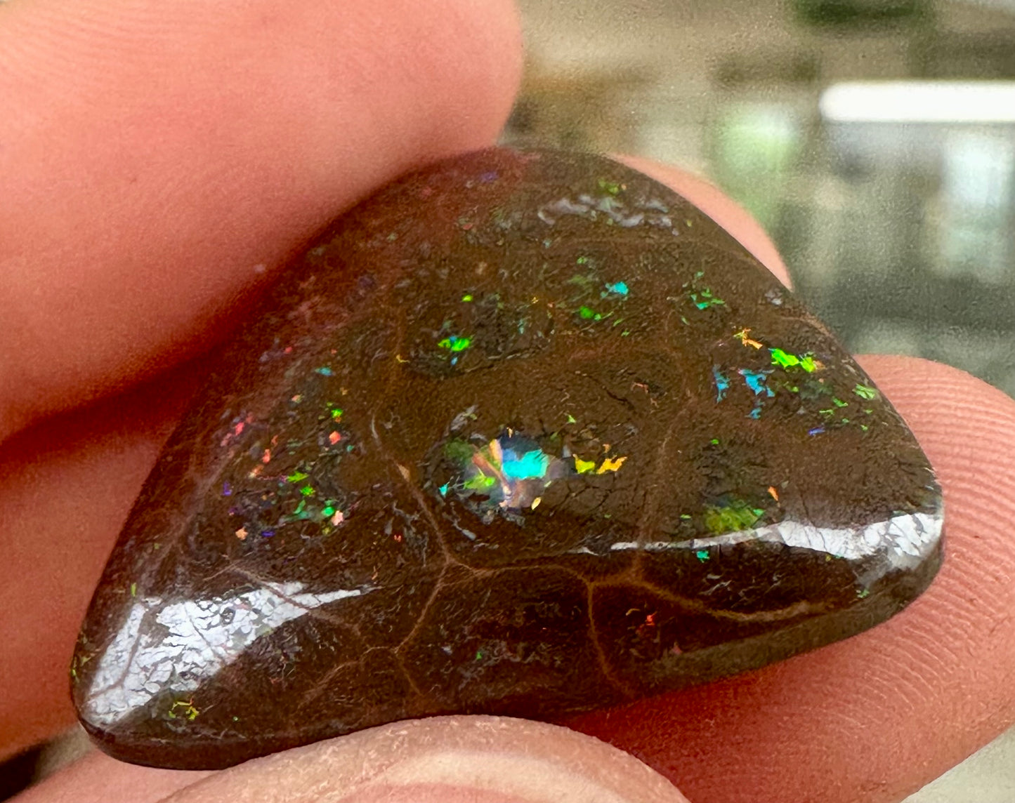 Australian Queensland Boulder Opal 31 cts