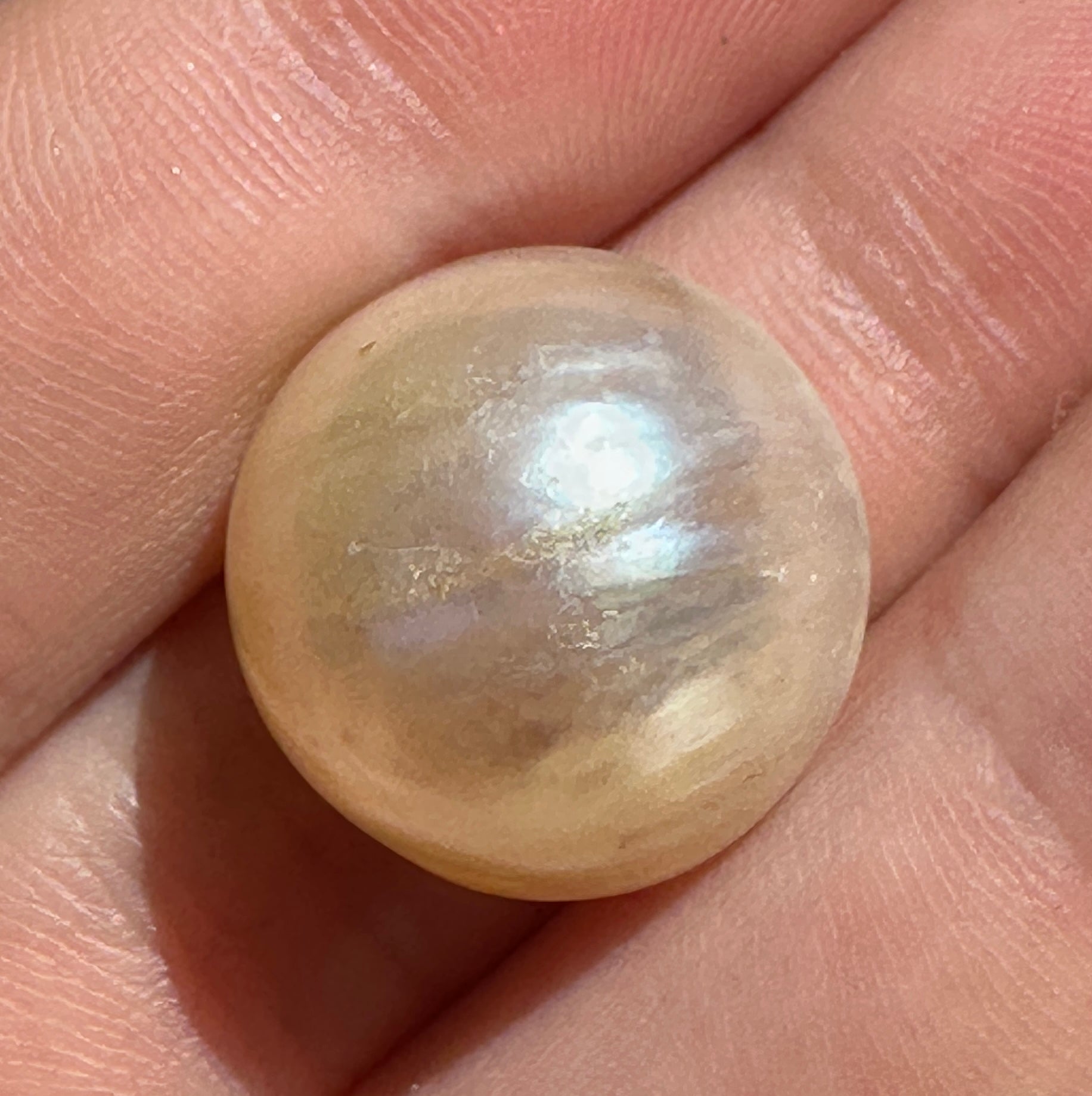 Australian white and cream Mabe Pearl unset pendant or ring or bracelet or earrings 7.76 cts