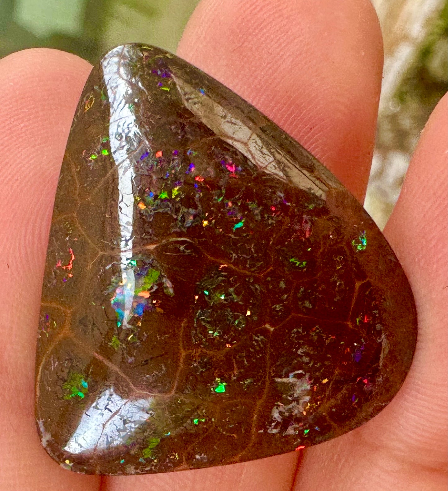 Australian Queensland Boulder Opal 31 cts