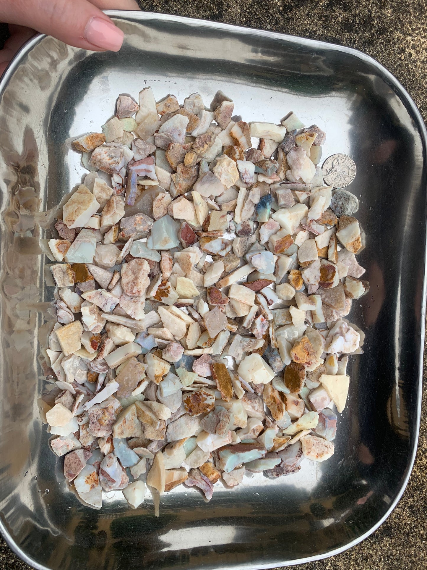 Coober Pedy Rough Opal parcel 20 ounces - White Base Multi-Colour South Australia