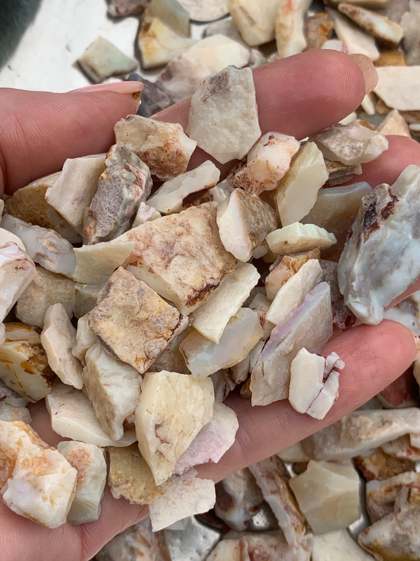 Coober Pedy Rough Opal parcel 20 ounces - White Base Multi-Colour South Australia