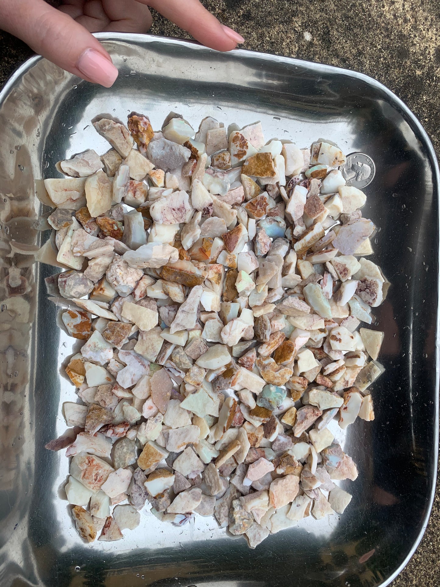 Coober Pedy Rough Opal parcel 20 ounces - White Base Multi-Colour South Australia