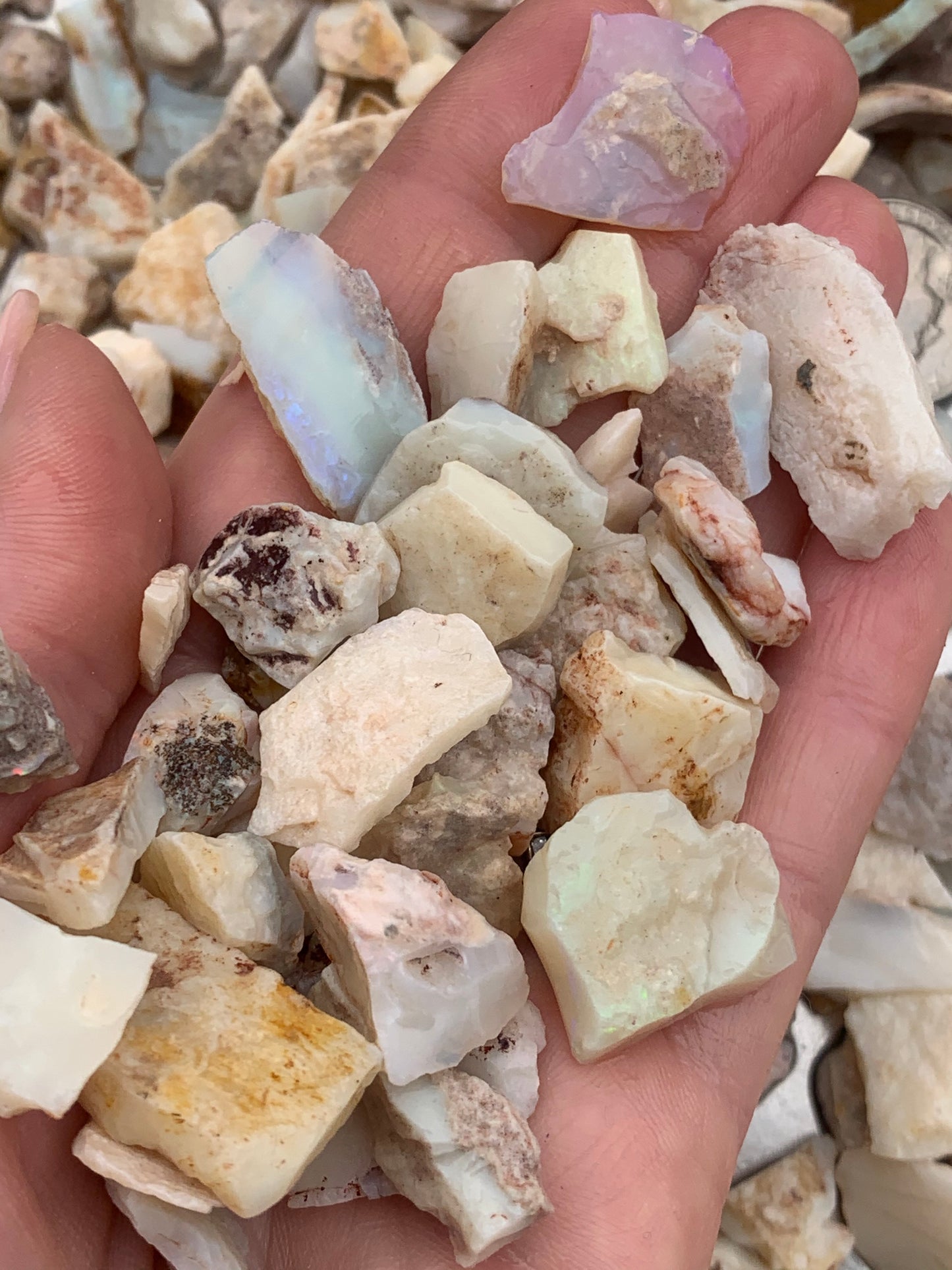 Coober Pedy Rohopalpaket 20 Unzen – Weiße Basis Mehrfarbig Südaustralien