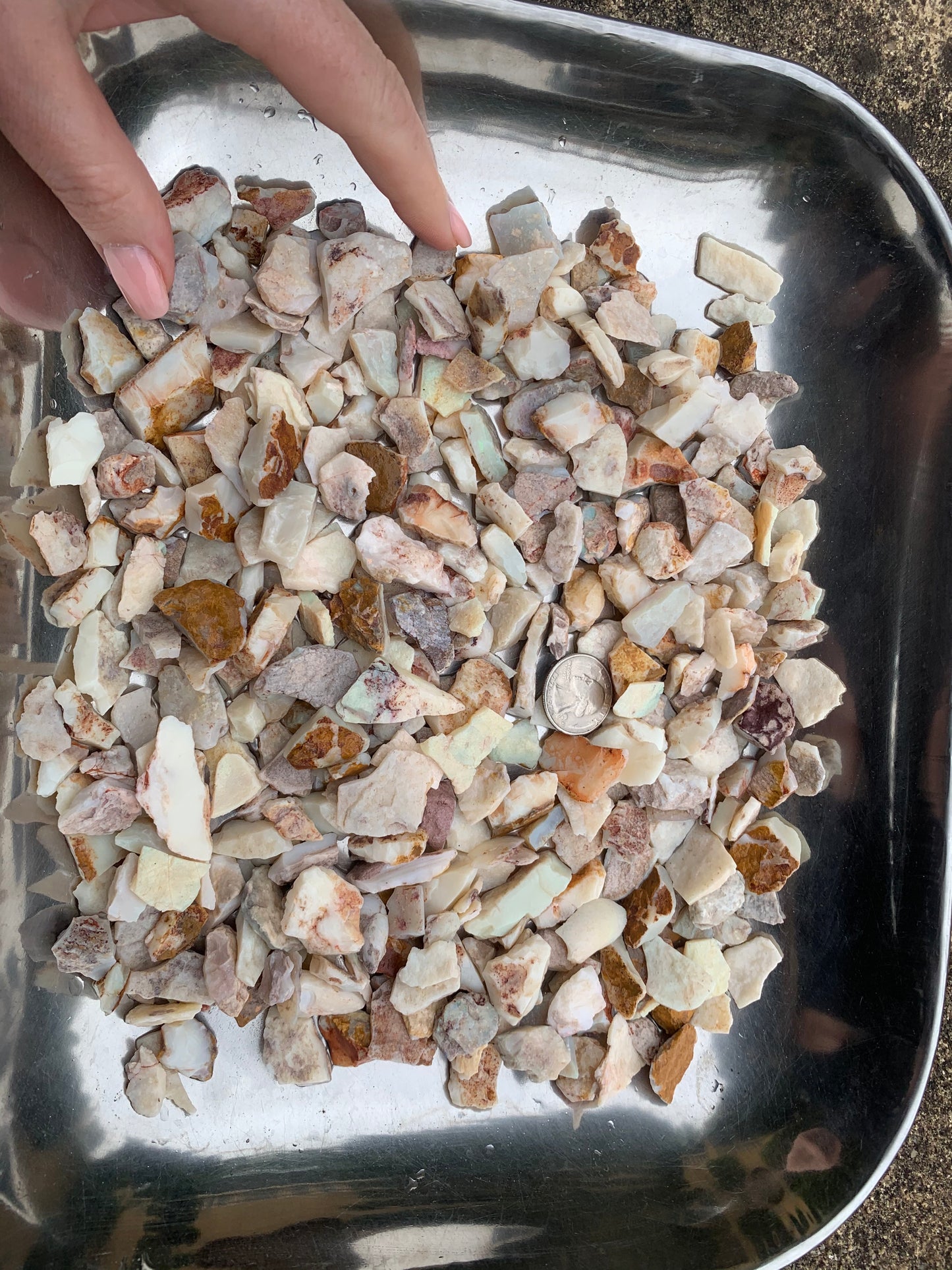 Coober Pedy Rough Opal parcel 20 ounces - White Base Multi-Colour South Australia