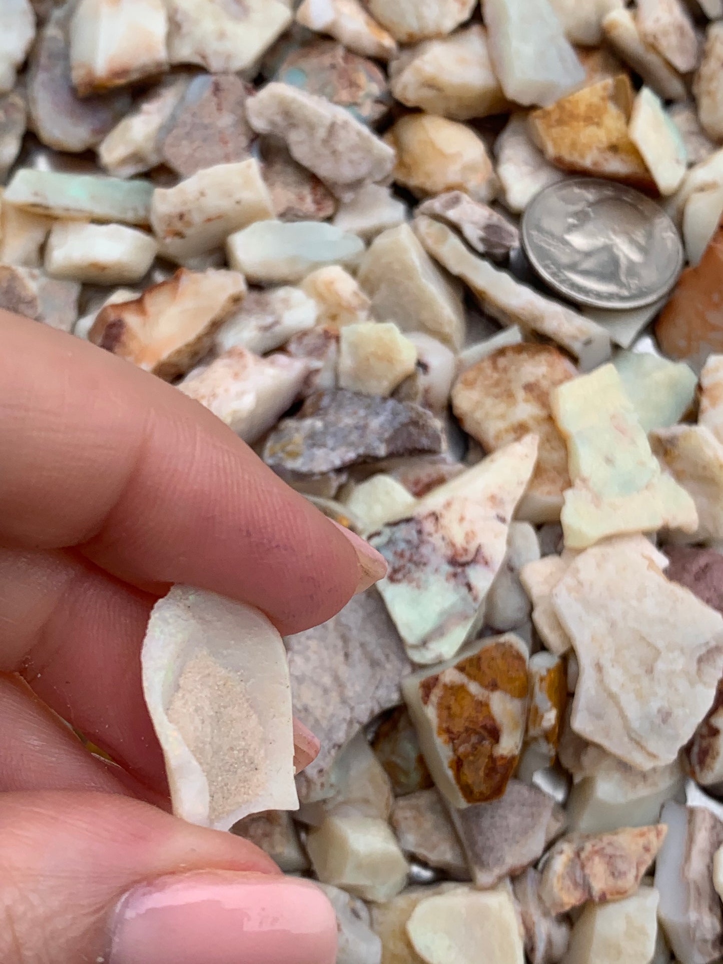 Coober Pedy Rough Opal parcel 20 ounces - White Base Multi-Colour South Australia