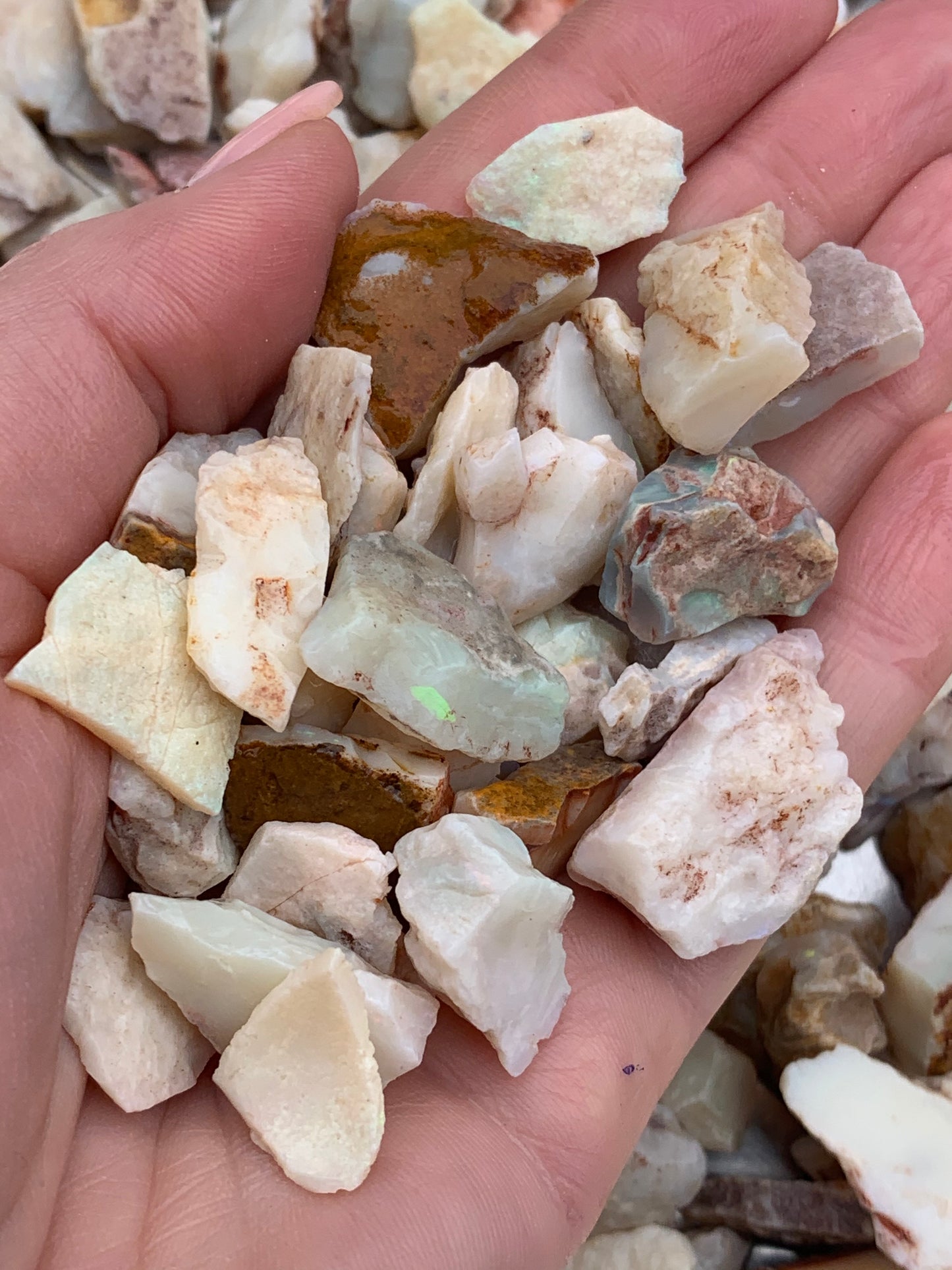 Coober Pedy Rough Opal parcel 20 ounces - White Base Multi-Colour South Australia