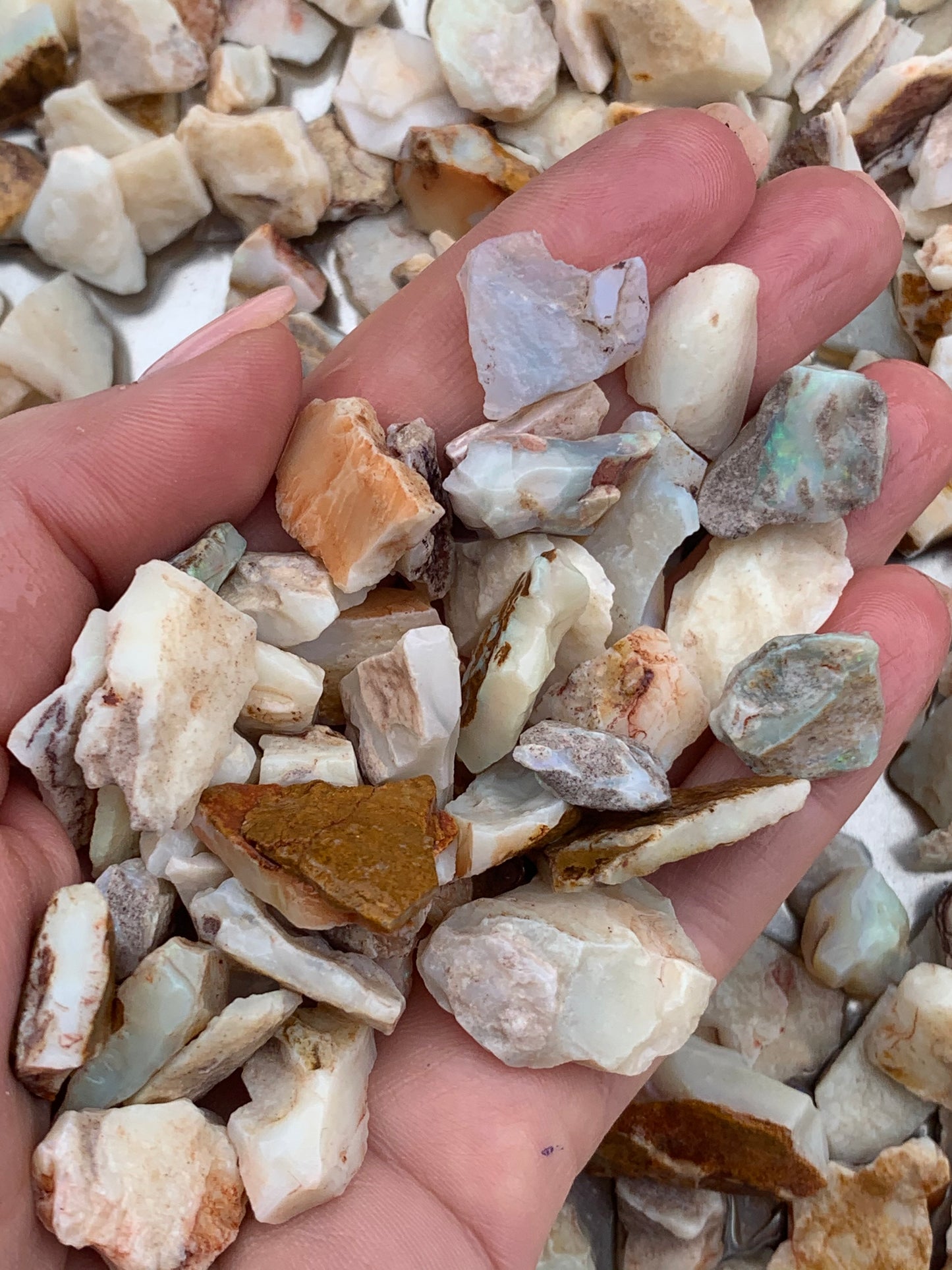 Coober Pedy Rough Opal parcel 20 ounces - White Base Multi-Colour South Australia
