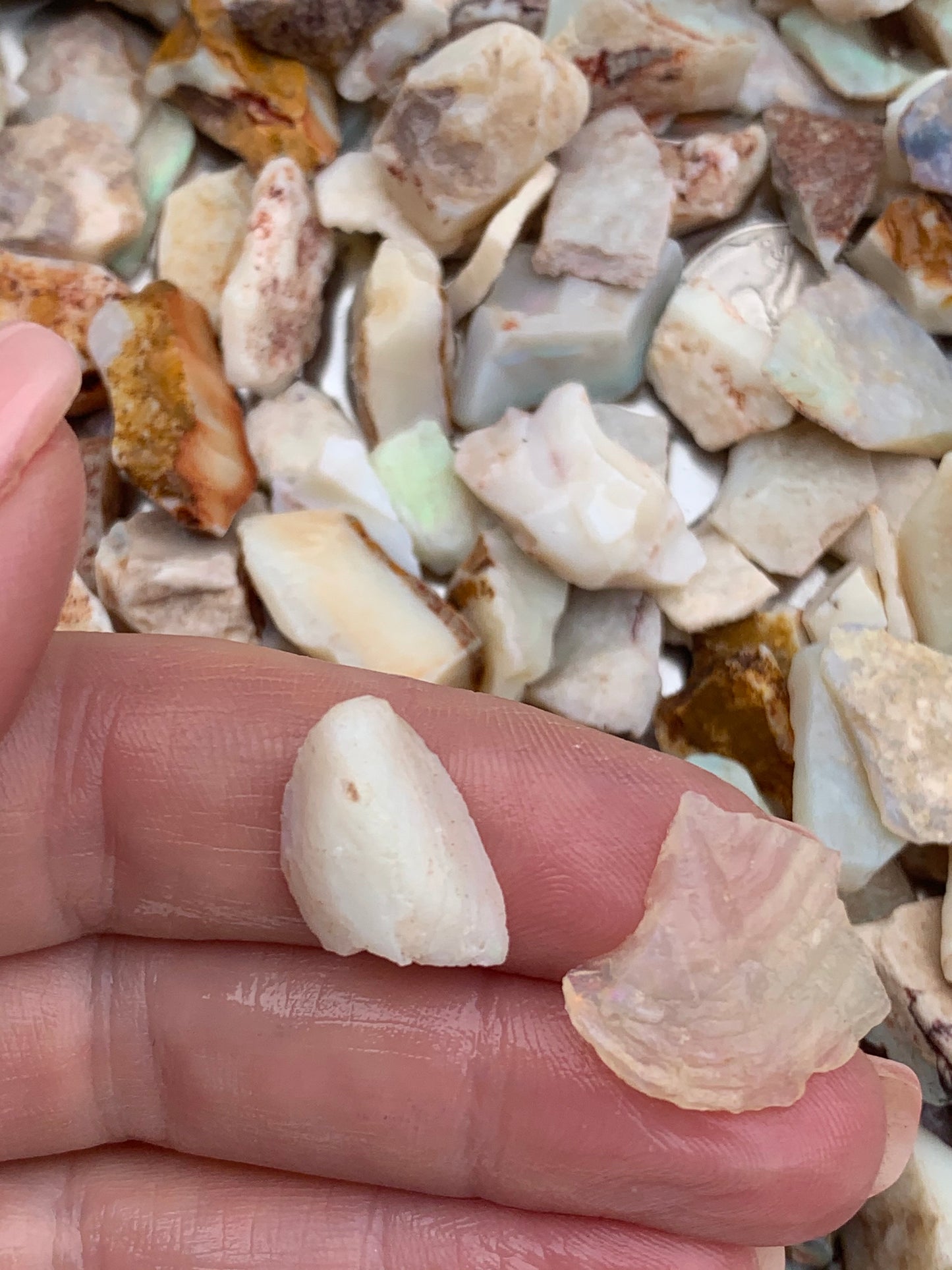 Coober Pedy Rough Opal parcel 20 ounces - White Base Multi-Colour South Australia