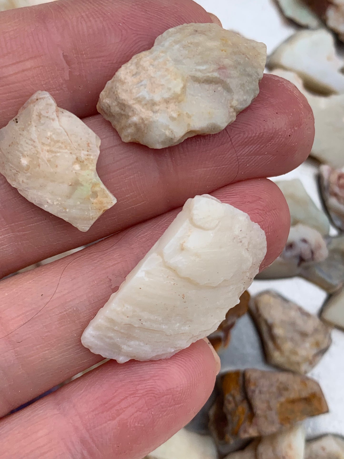 Coober Pedy Rough Opal parcel 10 ounces - White Base Multi-Colour South Australia