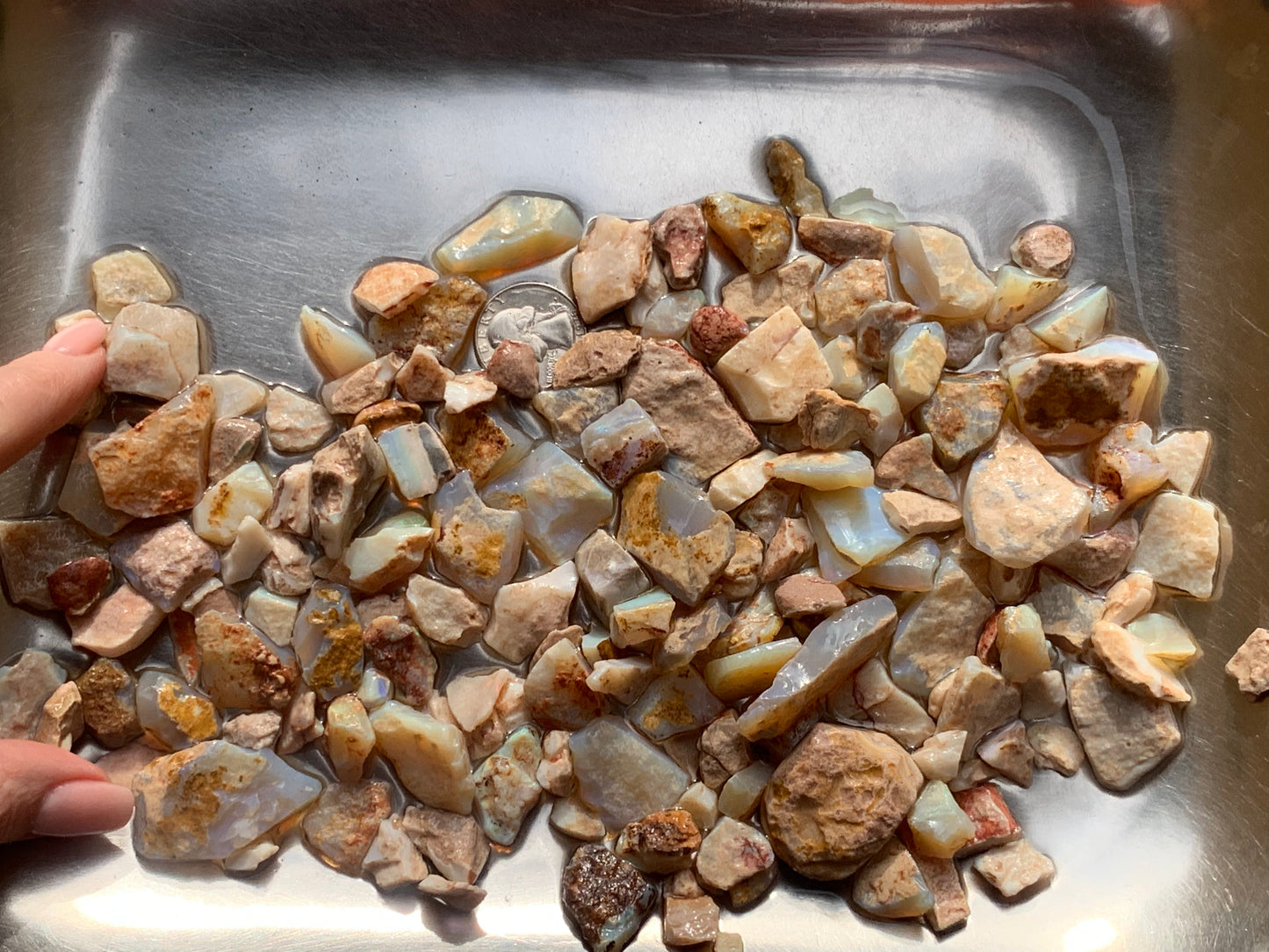 Lambina Rough Opal Parcel 10 ounces - South Australia