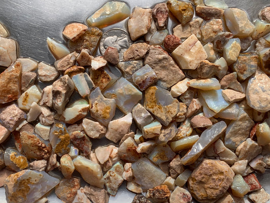 Lambina Rough Opal Parcel 10 ounces - South Australia
