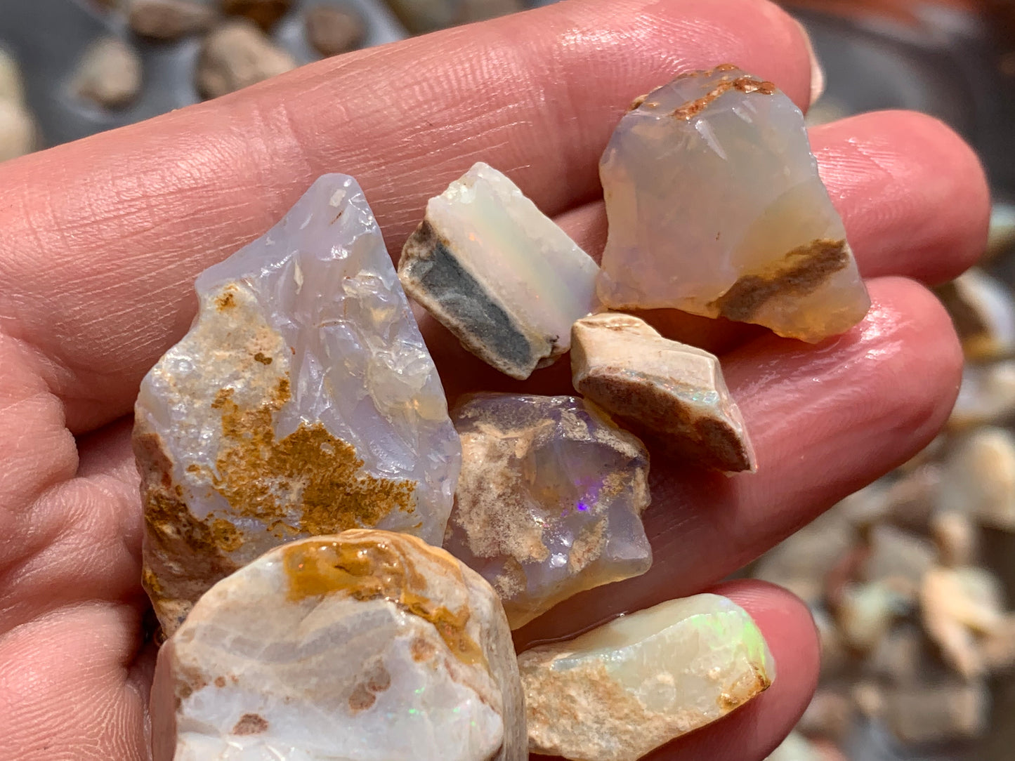 Lambina Rough Opal Parcel 10 ounces - South Australia