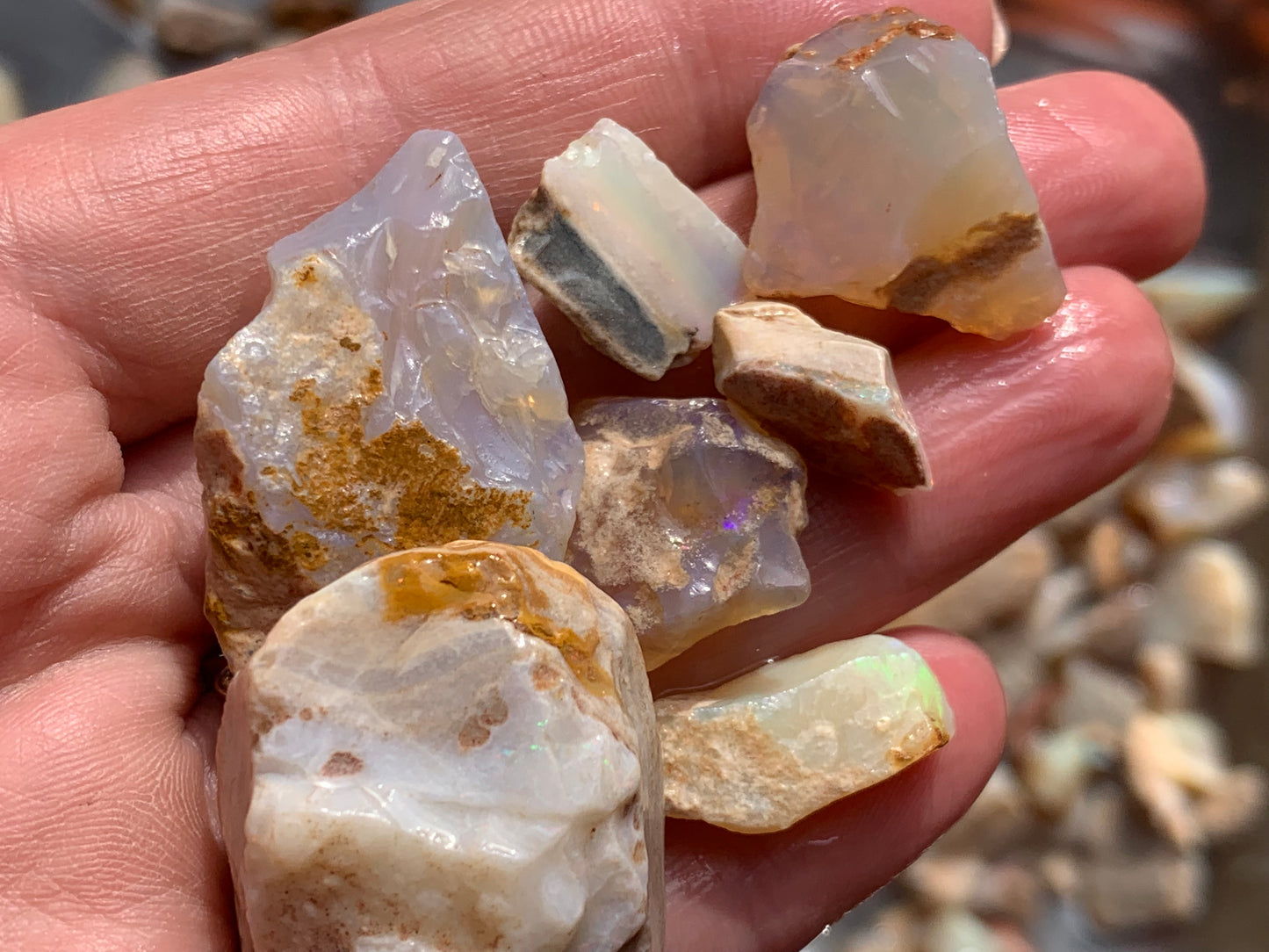 Lambina Rough Opal Parcel 10 ounces - South Australia