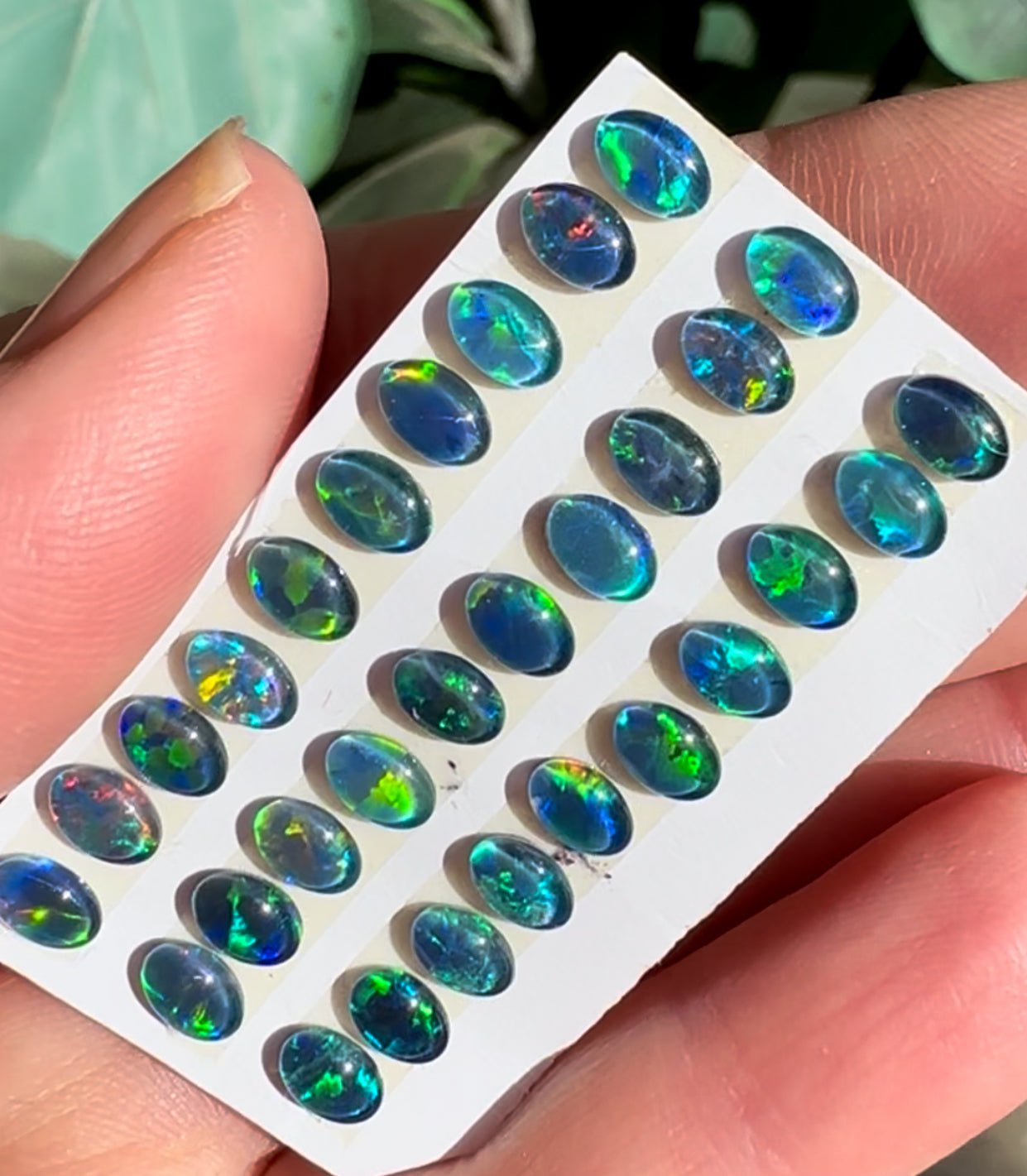 Australian Opal Triplets 10mm Rounds