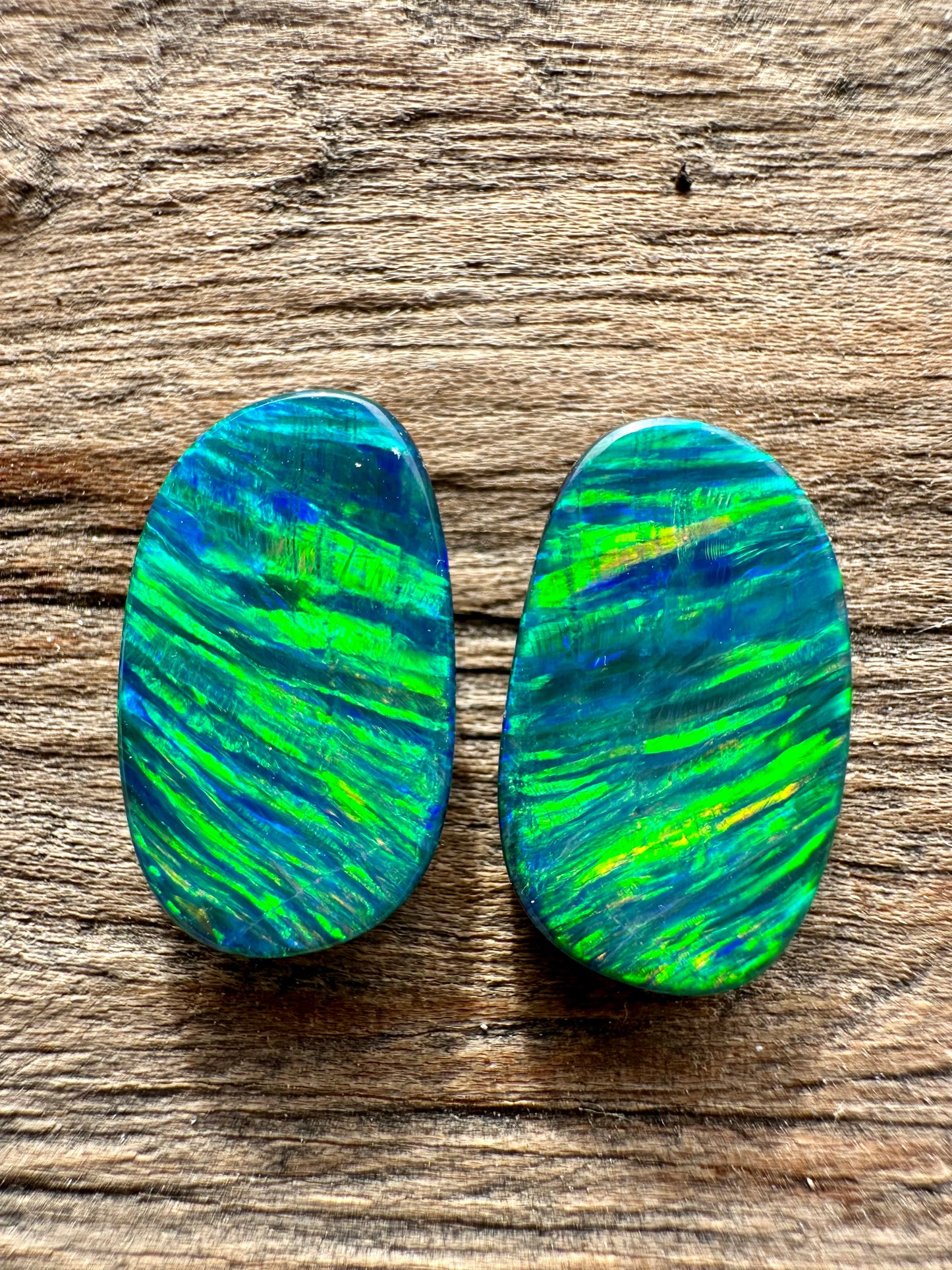 Unique Tiger Stripe Opal Pair For Earrings - Opal Essence Wholesalers 